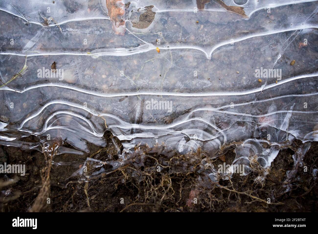 Poznan, Wielkopolska, Polonia. 11 Marzo 2021. Dalla mattina sulla riva orientale del lago Rusalka si potevano osservare le forme di ghiaccio, creando modelli originali. Questa è una delle ultime tracce dell'inverno in partenza a Poznan. Credit: Dawid Tatarkiewicz/ZUMA Wire/Alamy Live News Foto Stock