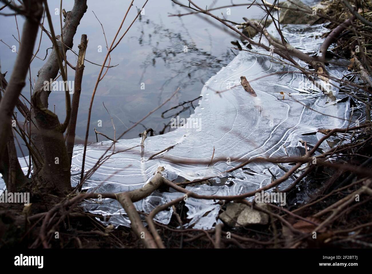 Poznan, Wielkopolska, Polonia. 11 Marzo 2021. Dalla mattina sulla riva orientale del lago Rusalka si potevano osservare le forme di ghiaccio, creando modelli originali. Questa è una delle ultime tracce dell'inverno in partenza a Poznan. Credit: Dawid Tatarkiewicz/ZUMA Wire/Alamy Live News Foto Stock