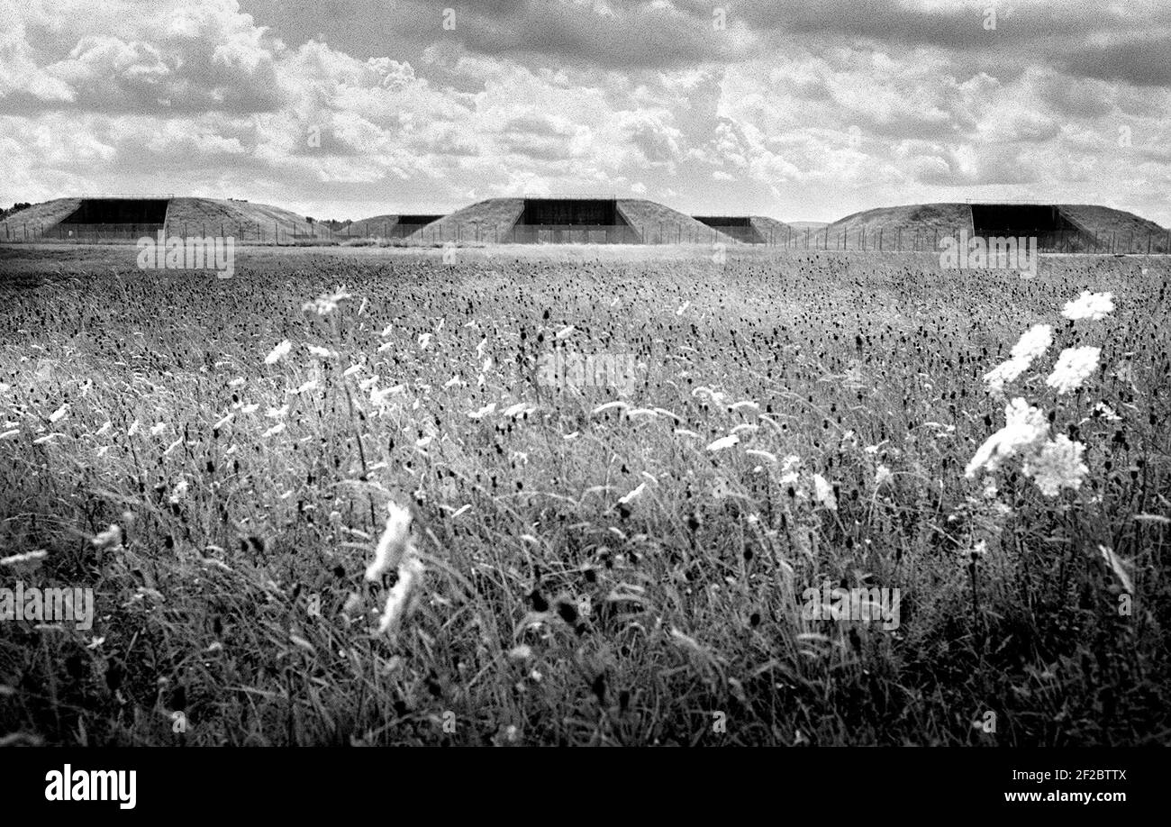 I fiori selvatici crescono intorno ai silos missilistici vuoti a Greenham CommonWILD FIORI CRESCONO INTORNO AI SILOS MISILE VUOTI A GREENHAM. 30/7/98. PILSTON. Foto Stock