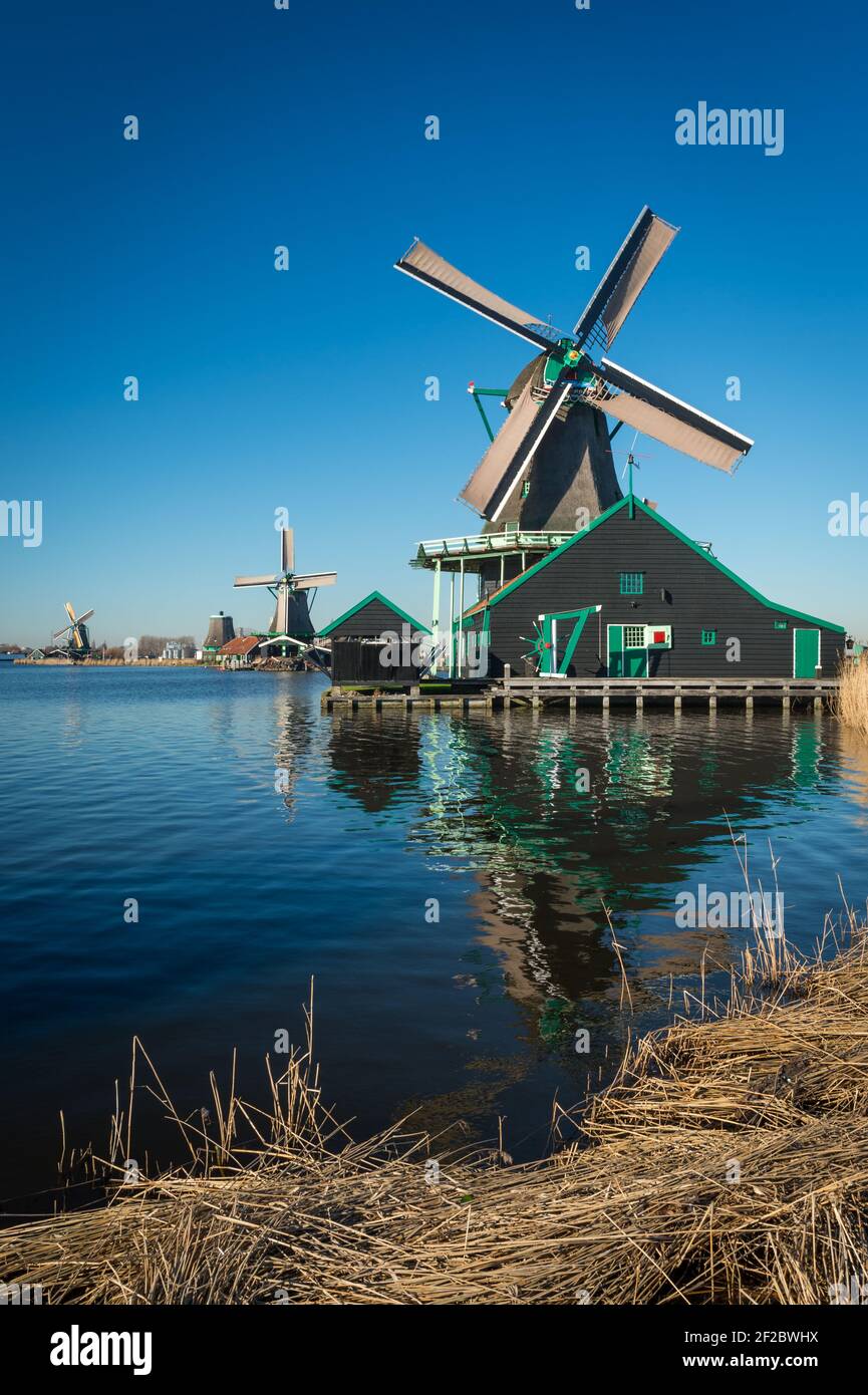 Lo storico mulino a vento De Kat a Zaanse Schans, Zaandijk, Paesi Bassi. Foto Stock