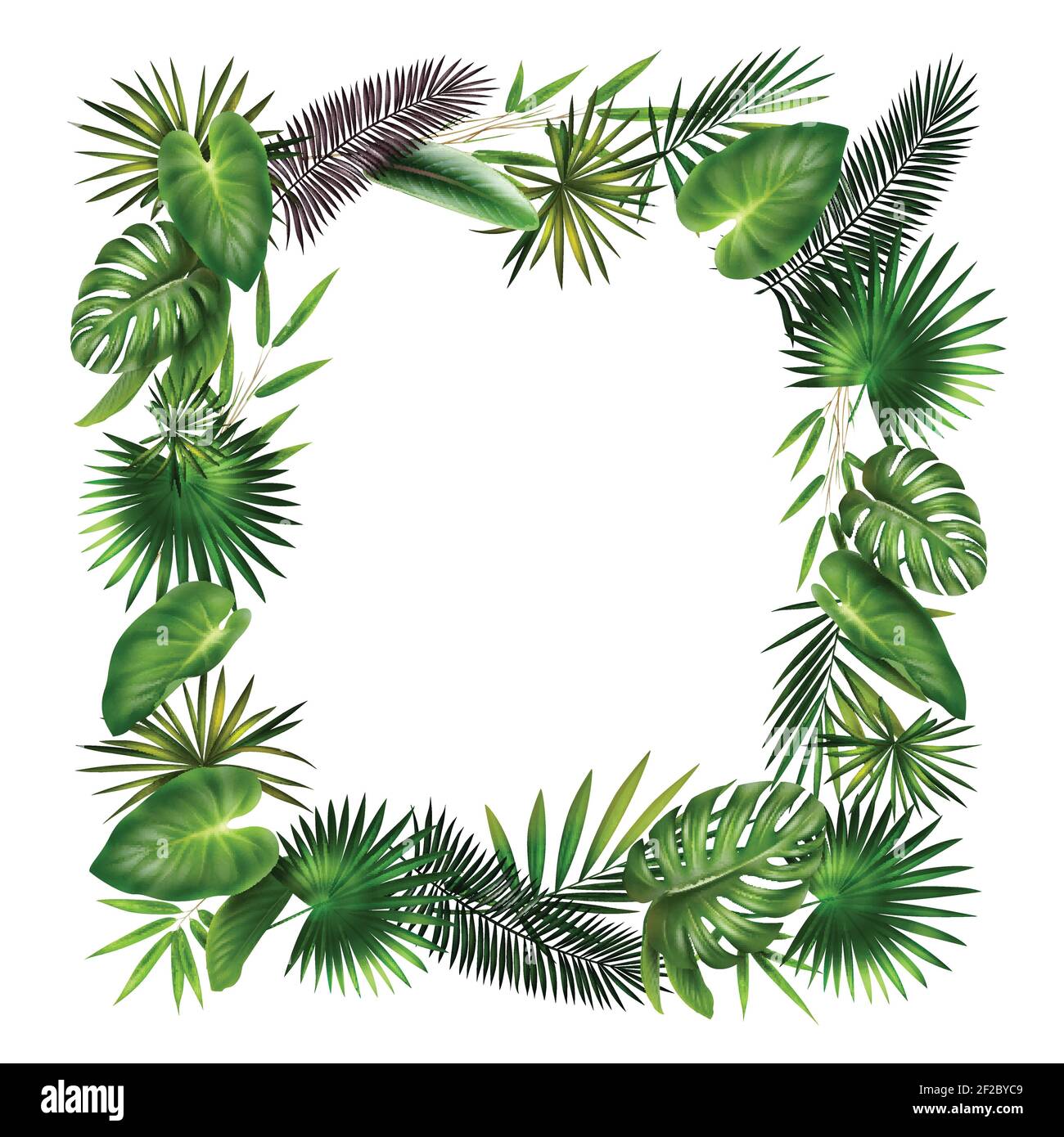 Cuscino Impermeabile Per Esterno Clara - 45x45cm - Fantasia Tropicale Giungla Con Scimmie E Tigri - 4