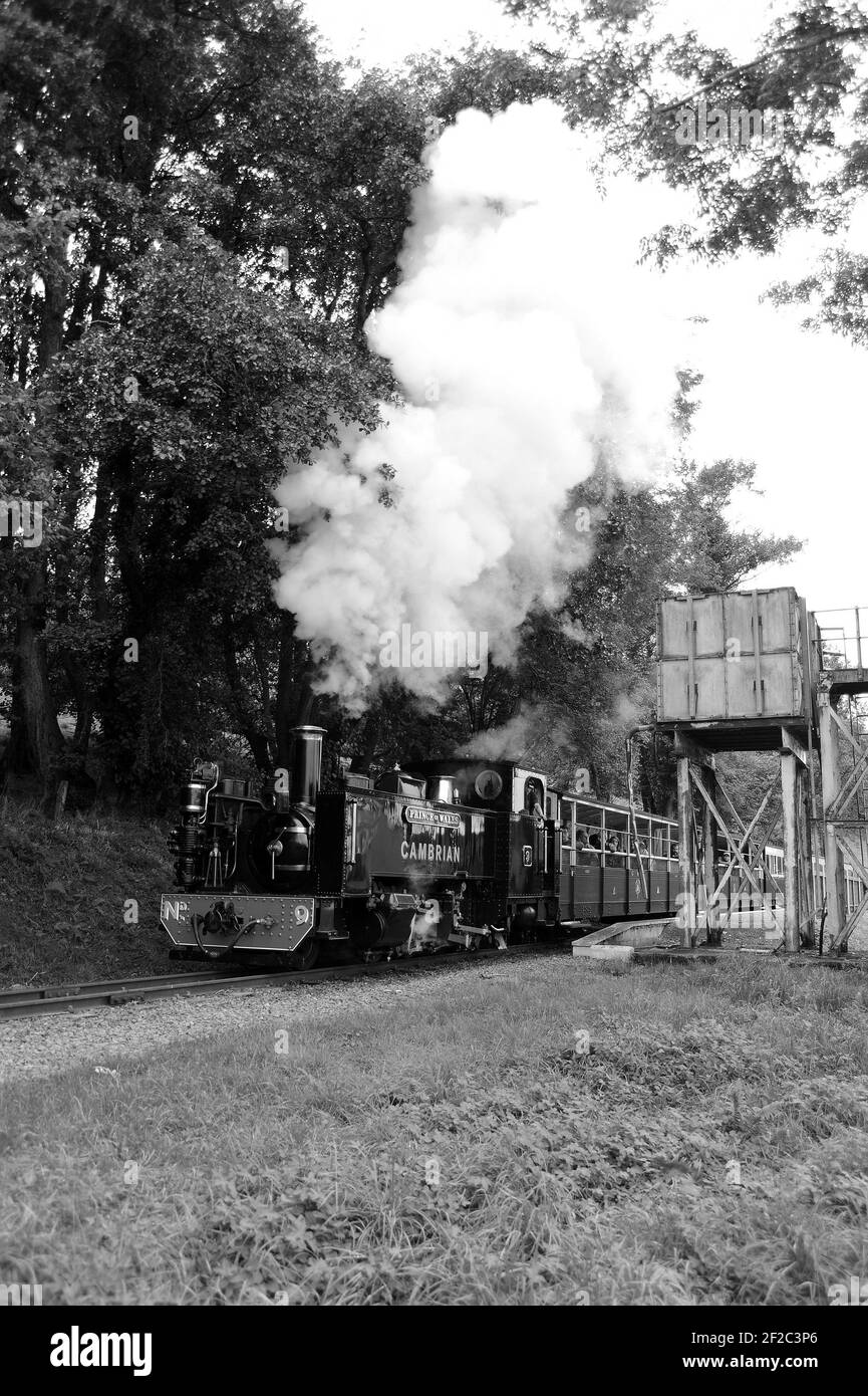 "Prince of Wales" con partenza dalla stazione di Nantyronen. Foto Stock