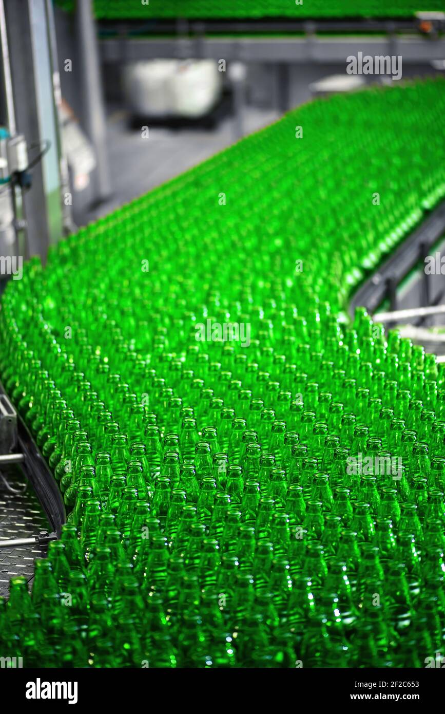 Linea di trasporto automatizzata in una fabbrica di birra. File di bottiglie di vetro verde su un nastro trasportatore. Birreria industriale Foto Stock