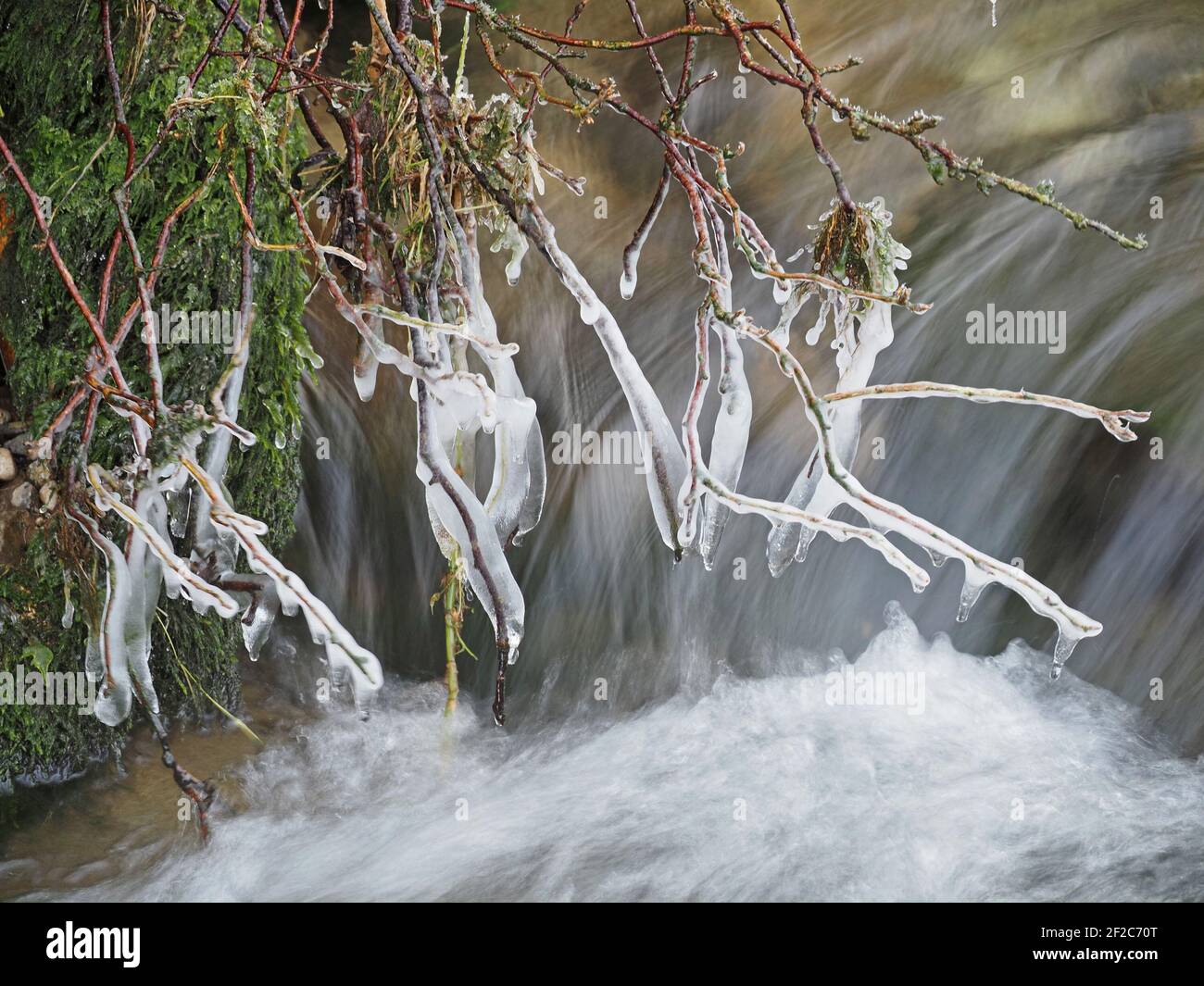 Formazioni di Icicle congelate nel tempo su muschio sovrastante ruscello in inverno Cumbria, Inghilterra, Regno Unito Foto Stock