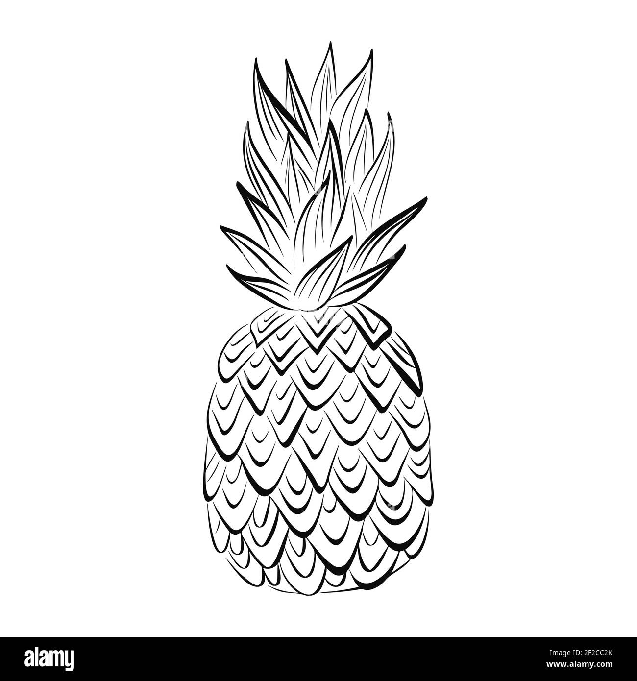 Frutta di ananas. Schizzo vettoriale nero disegnato a mano isolato su sfondo bianco. Art. Linea Illustrazione Vettoriale