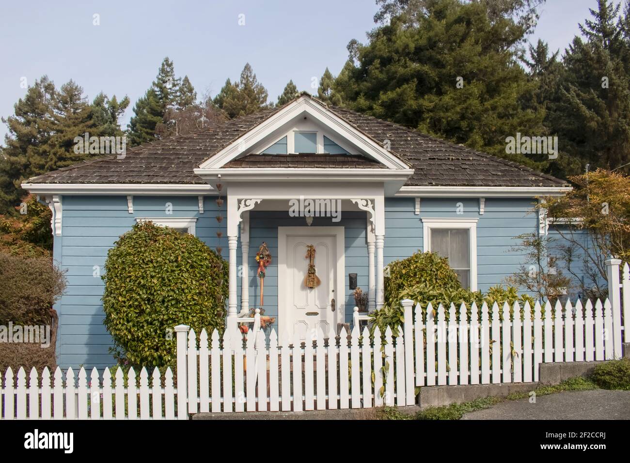 Carino piccolo cottage con il siding blu e tocchi vittoriani e. scricchiolette di legno e recinzione di picket bianco contro alti alberi di pino Foto Stock