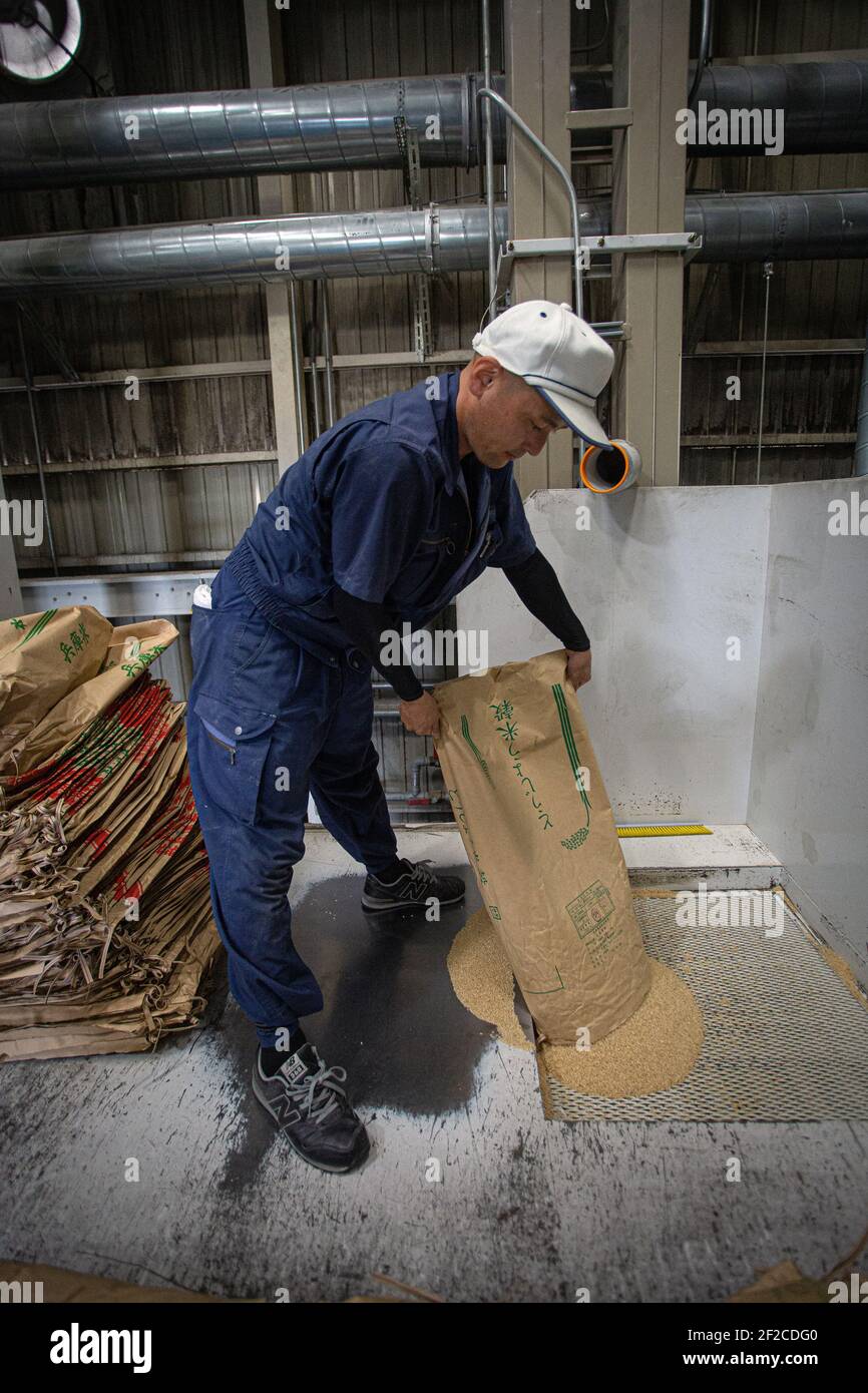Giappone/prefettura di Hyogo/produzione sake giapponese/fabbrica di macinazione del riso. Foto Stock