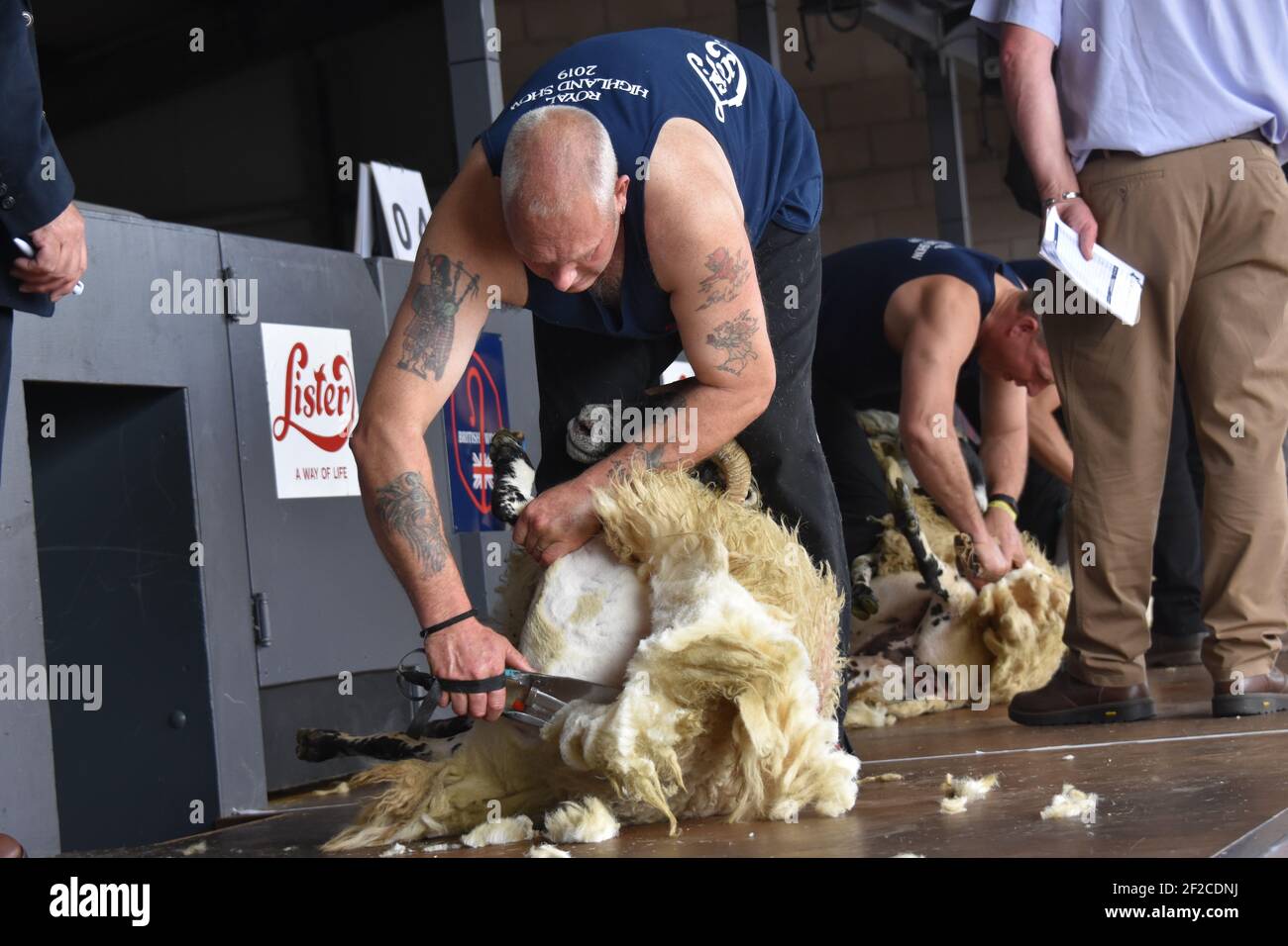Taglio delle lame al Royal Highland Show Foto Stock