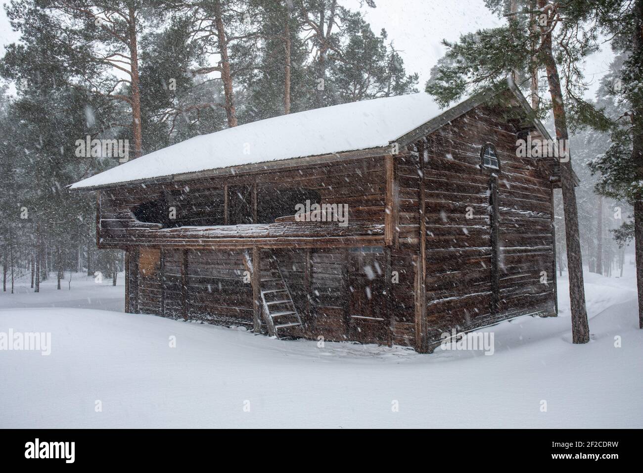 Vecchio fienile tradizionale di essiccazione durante le forti nevicate al Seurasaari Open-Air Museum di Helsinki, Finlandia Foto Stock