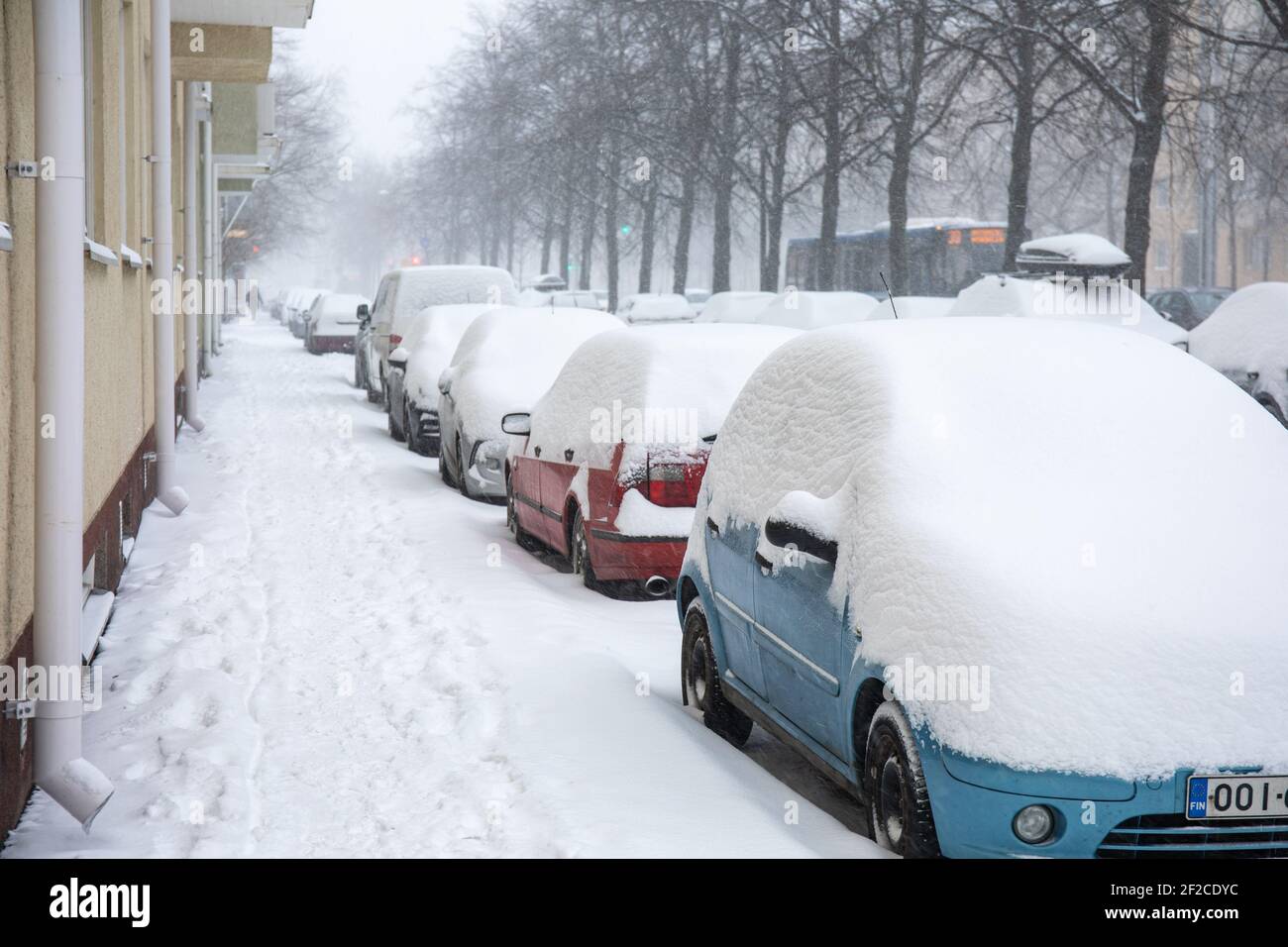 Auto coperte di neve a Huopalahdentie nel distretto di Munkkiniemi di Helsinki, Finlandia Foto Stock