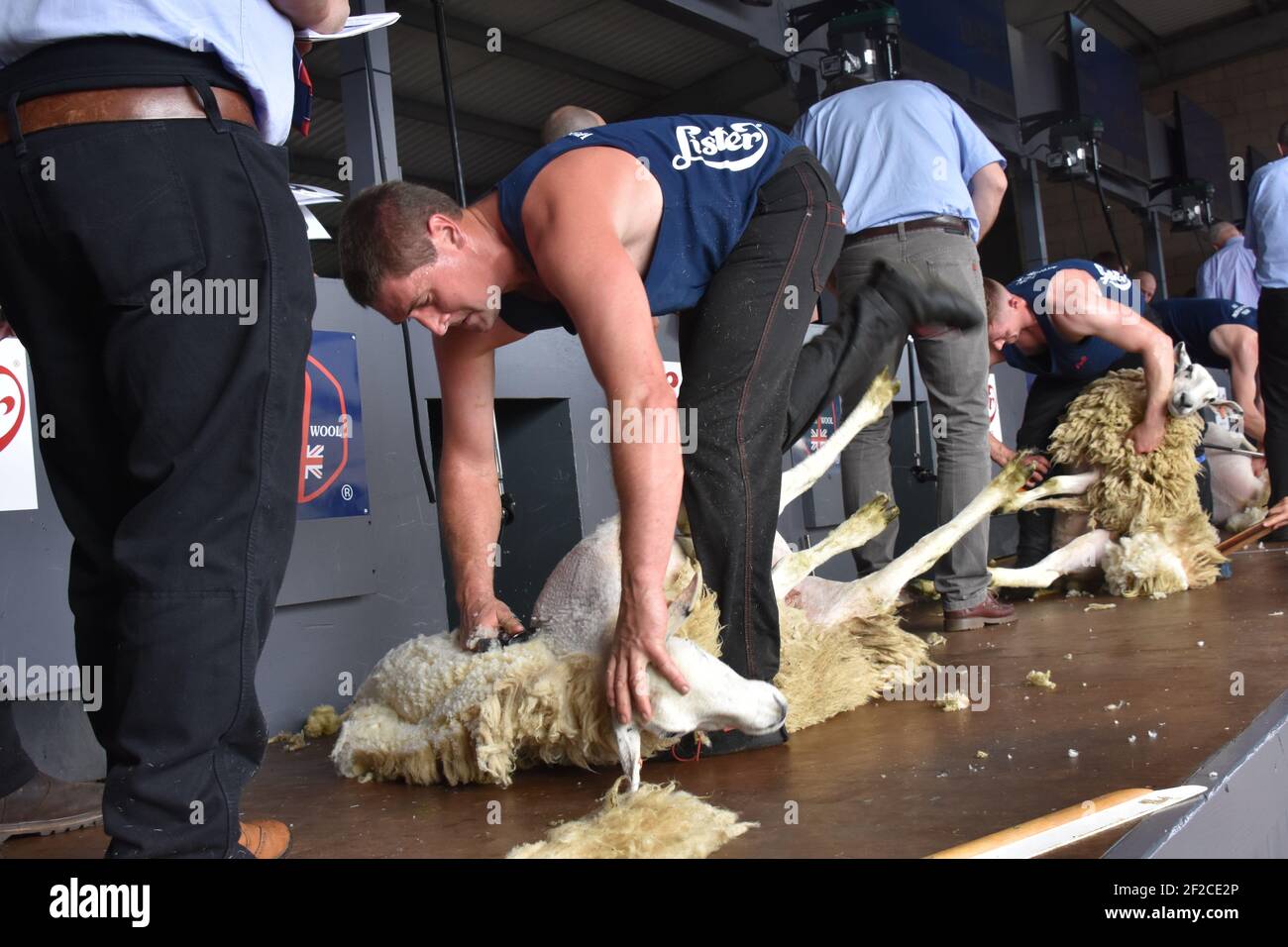 Gavin Mutch in gara al Highland Show, Scozia Foto Stock