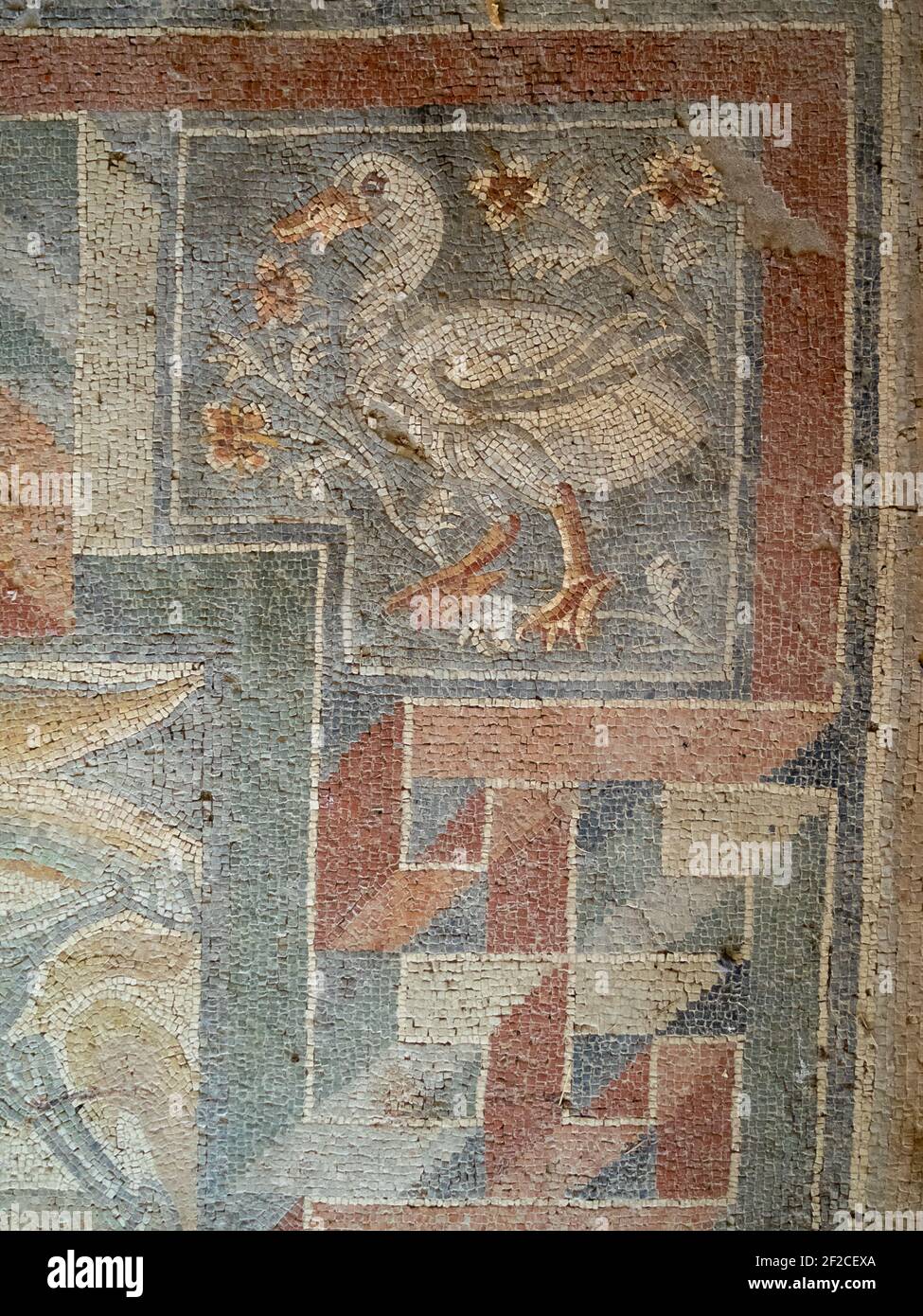 Cornice geometrica a mosaico con figura d'anatra, Villa Romana del Tellaro Foto Stock