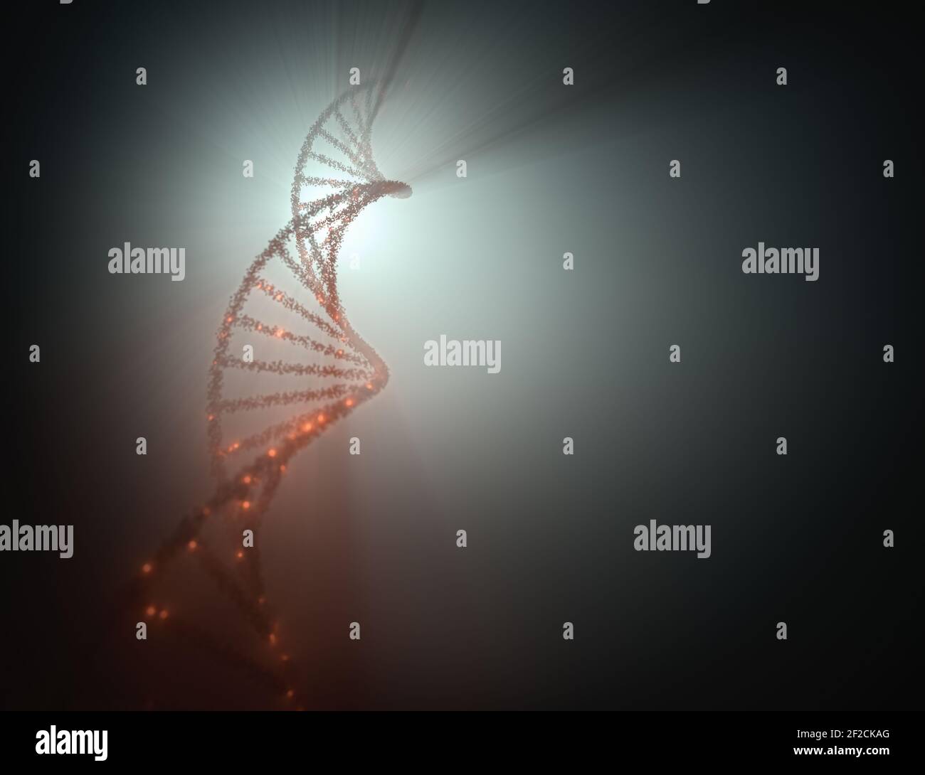 Molecola di DNA con retroilluminazione. Codice genetico, molecole elicoidali. Foto Stock