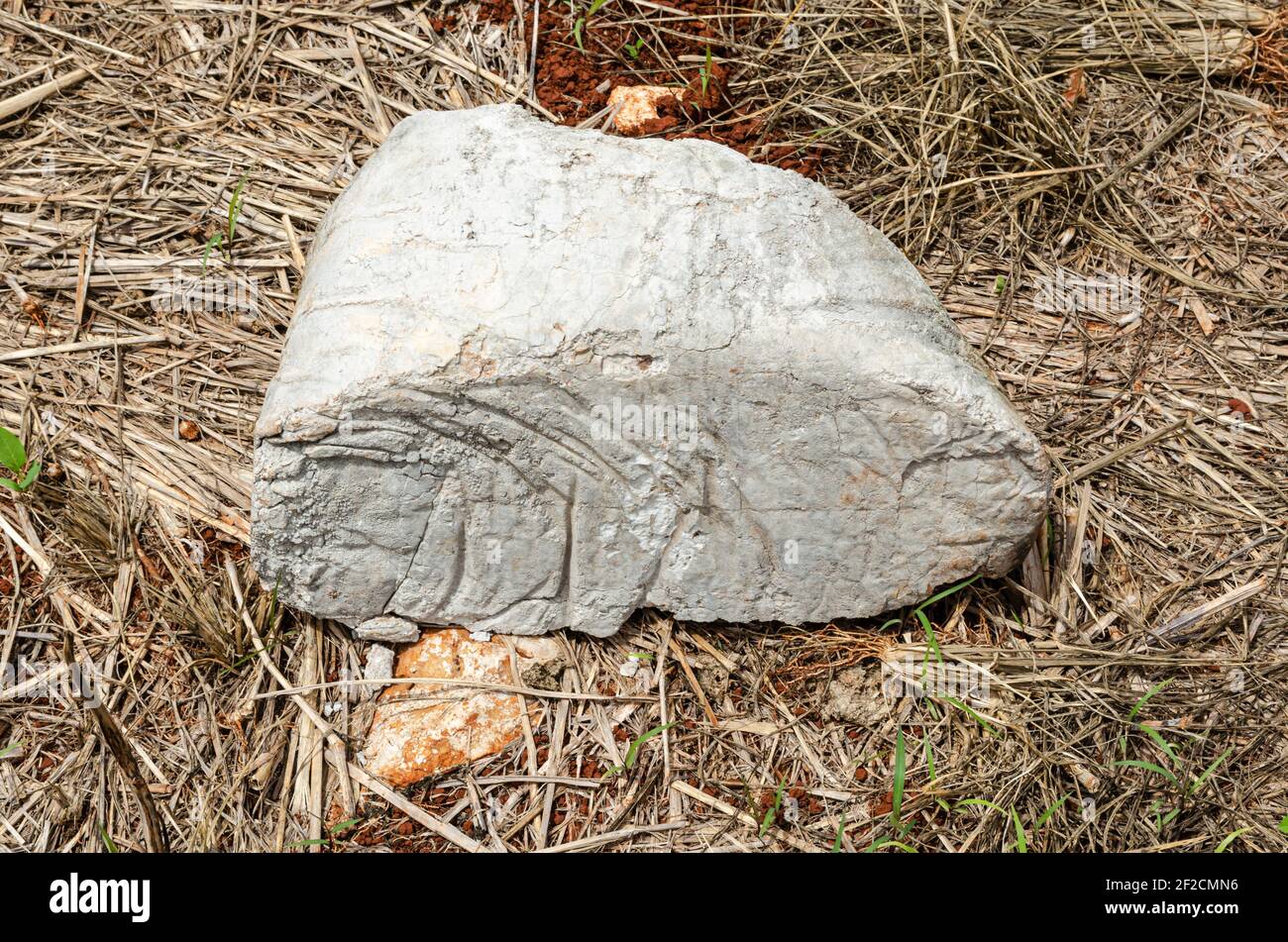 Cemento duro su terra Foto Stock