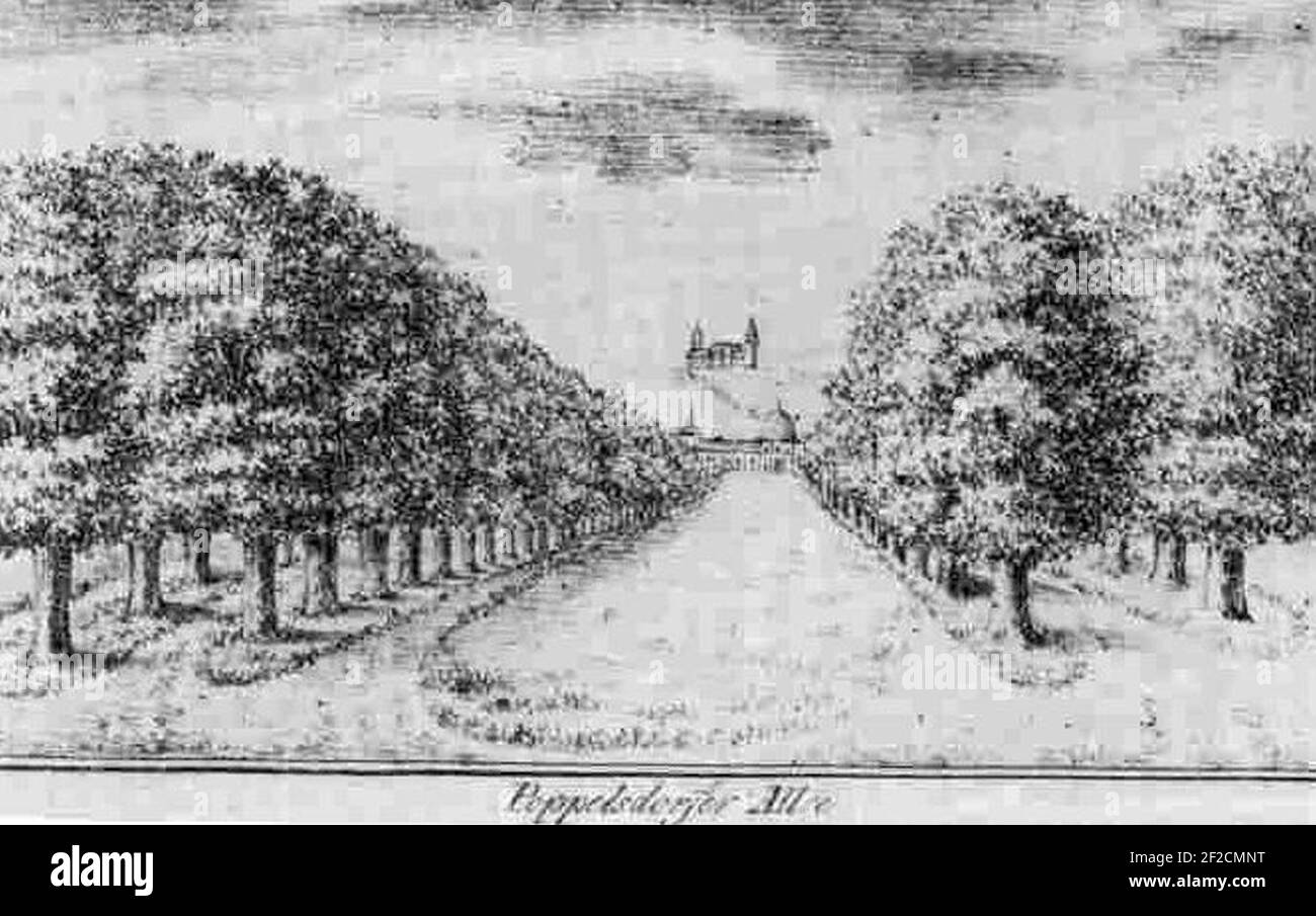 Poppelsdorfer Allee 1820. Foto Stock