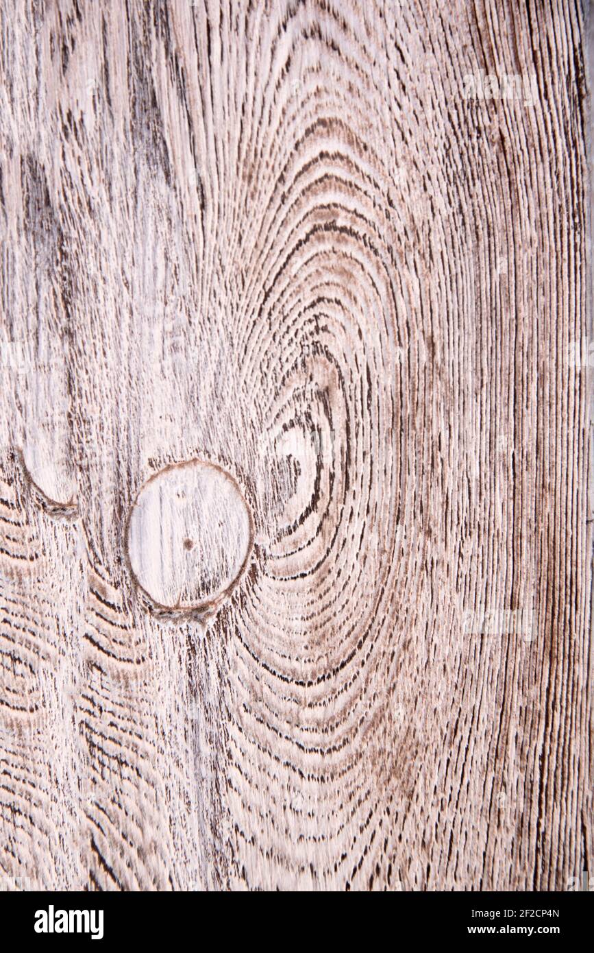 legno invecchiato testurizzato trattato con vernice bianca a base di acqua Foto Stock