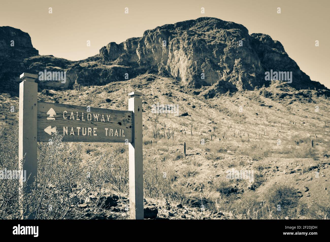 Un cartello direzionale nel deserto di sonora con cime e cactus di Saguaro e cielo blu nel Picacho Peak state Park, Arizona, USA, in tono split Foto Stock