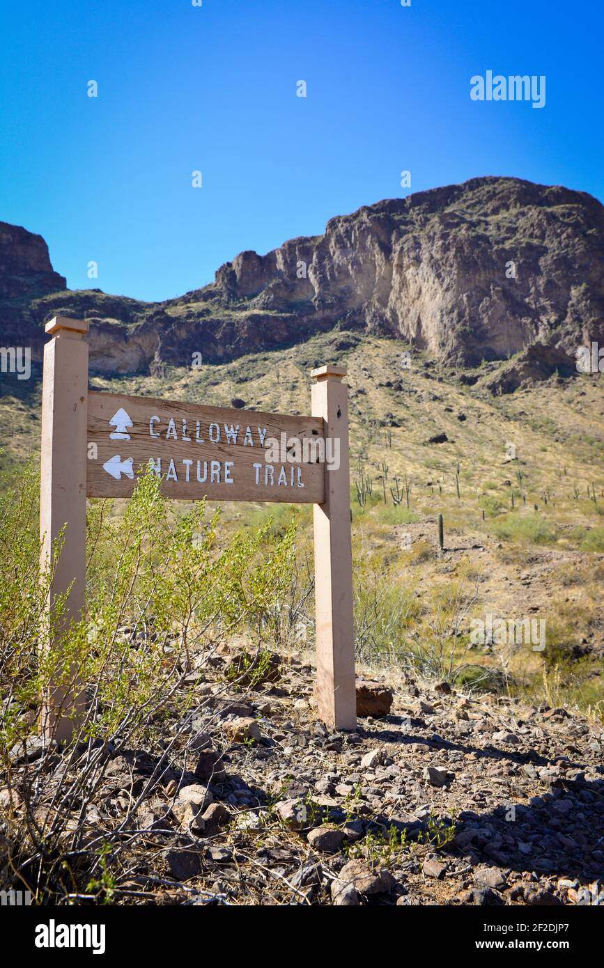 Un segnale di percorso escursionistico direzionale nel deserto di sonora con cime e cactus Saguaro e cielo blu nel Picacho Peak state Park, AZ, USA Foto Stock