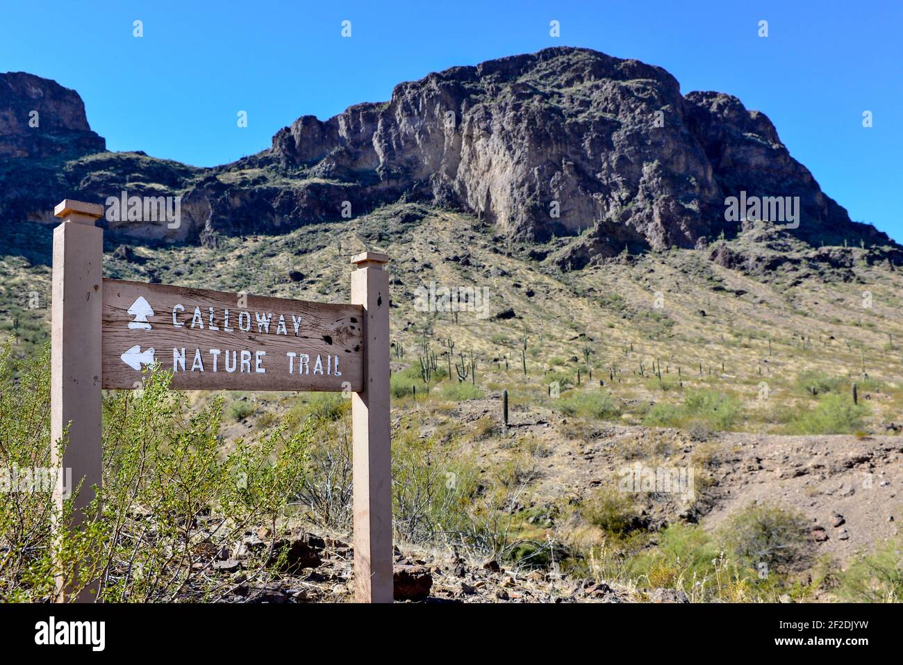 Un cartello direzionale nel deserto di sonora con cime e cactus di Saguaro e cielo blu nel Picacho Peak state Park, Arizona, USA Foto Stock