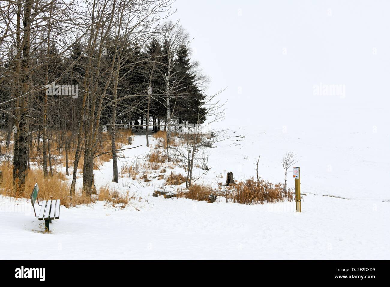Un percorso innevato accanto agli alberi e al Lago superiore in una giornata di nebbia, a Mission Marsh a Thunder Bay, Ontario, Canada alla fine dell'inverno. Foto Stock