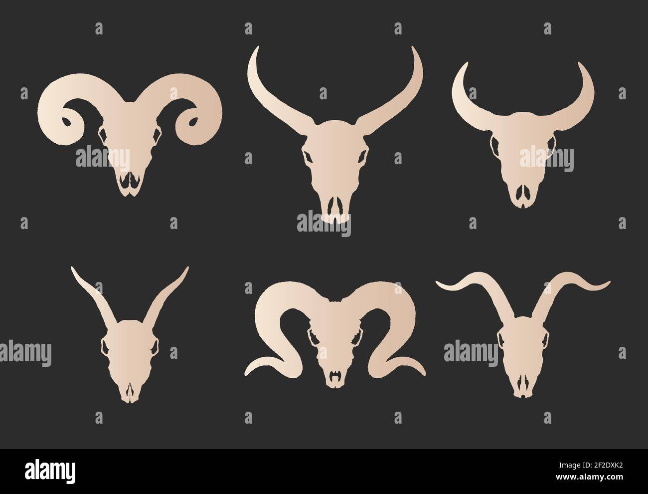 Set vettoriale di sei silhouette d'oro disegnate a mano teschi di animali cornati: Bufali selvatici, toro, capra e montone su sfondo nero. Per la progettazione, la stampa, t Illustrazione Vettoriale