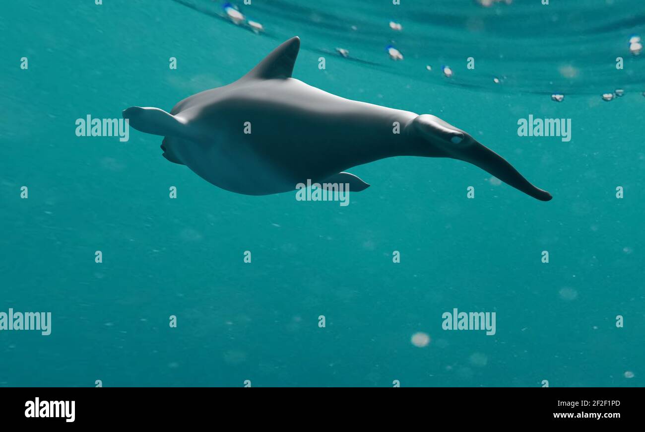 Lavoro concettuale di una scultura digitale di un delfino che nuota vicino alla superficie vista da dietro. Foto Stock