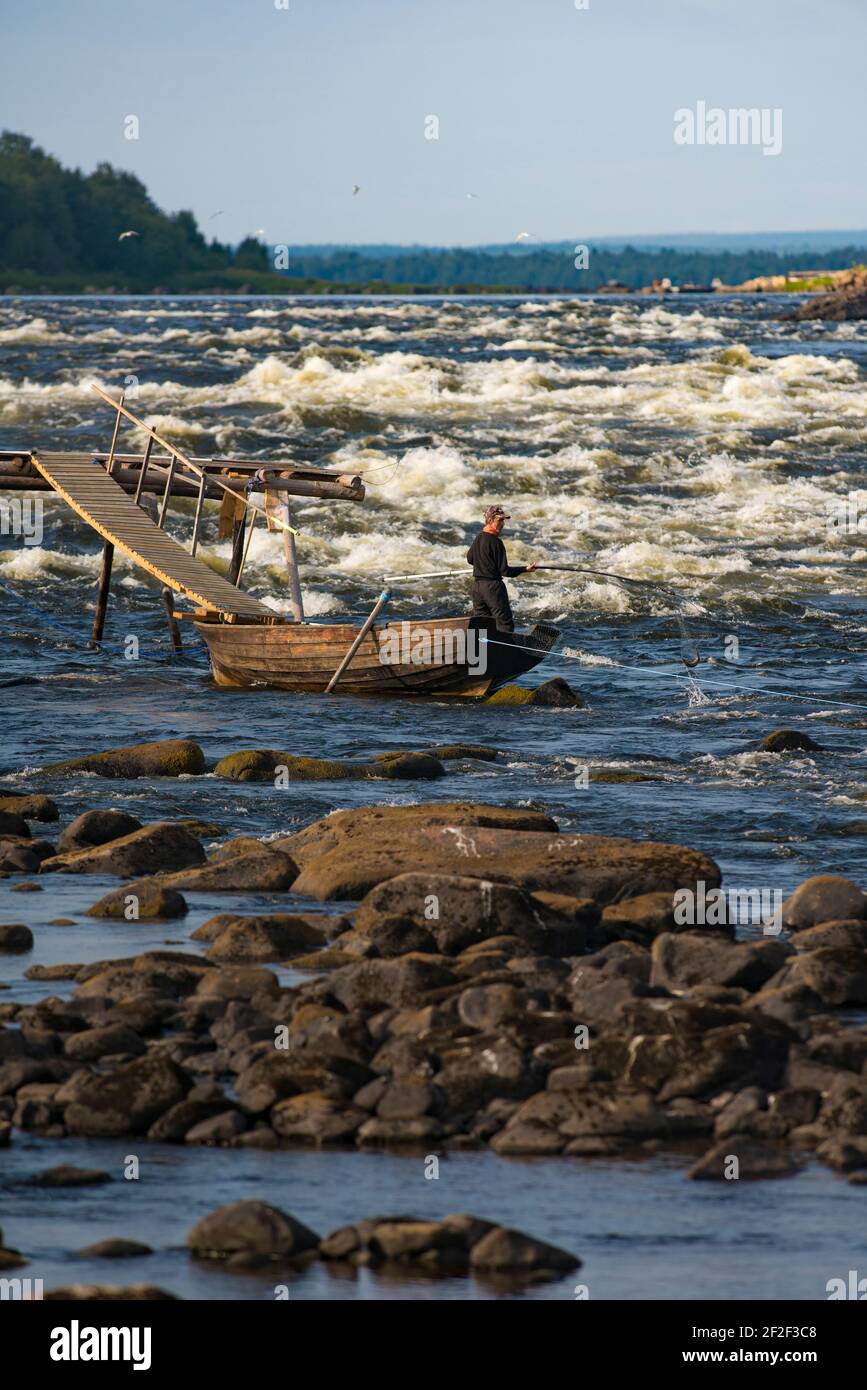 Pesca nel fiume Kukkola tra la Svezia e la Finlandia Foto Stock