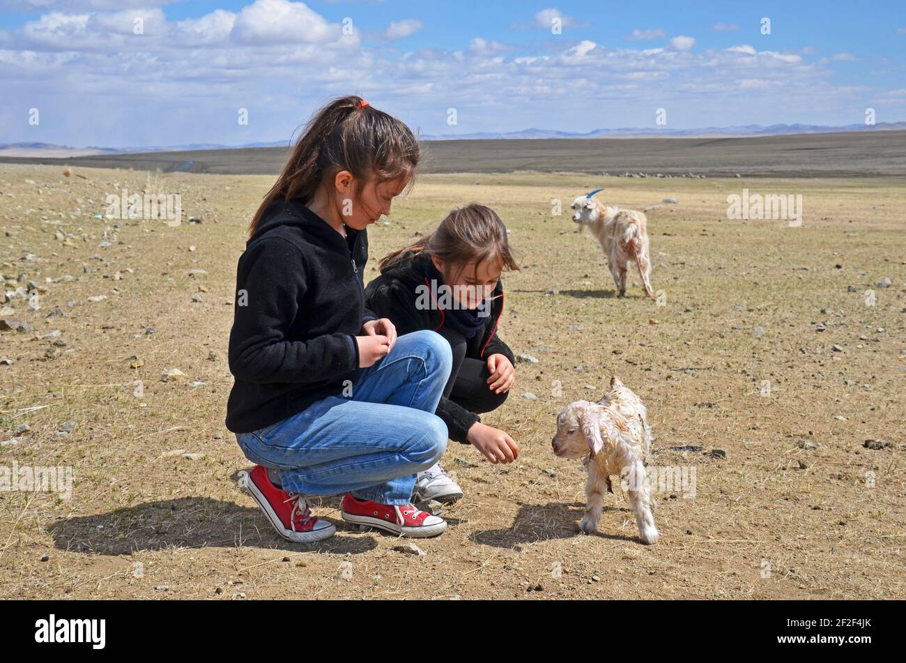 Due giovani turisti guardano ad un capretto appena nato di cashmere, Mongolia Foto Stock