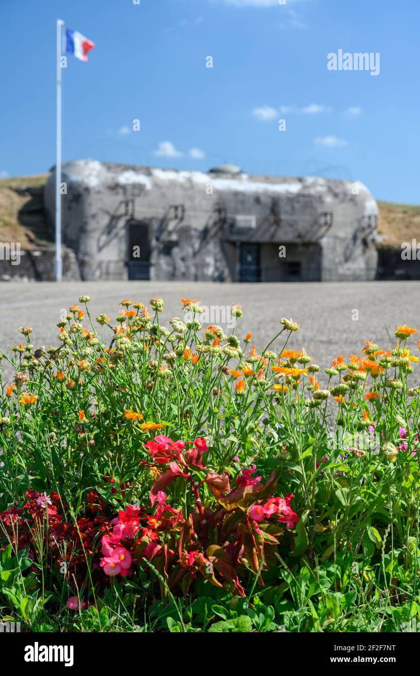 Letto di fiori colorati in fiore di fronte al bunker militare in cemento dal periodo della seconda Guerra Mondiale. Estate giorno di sole. Foto Stock