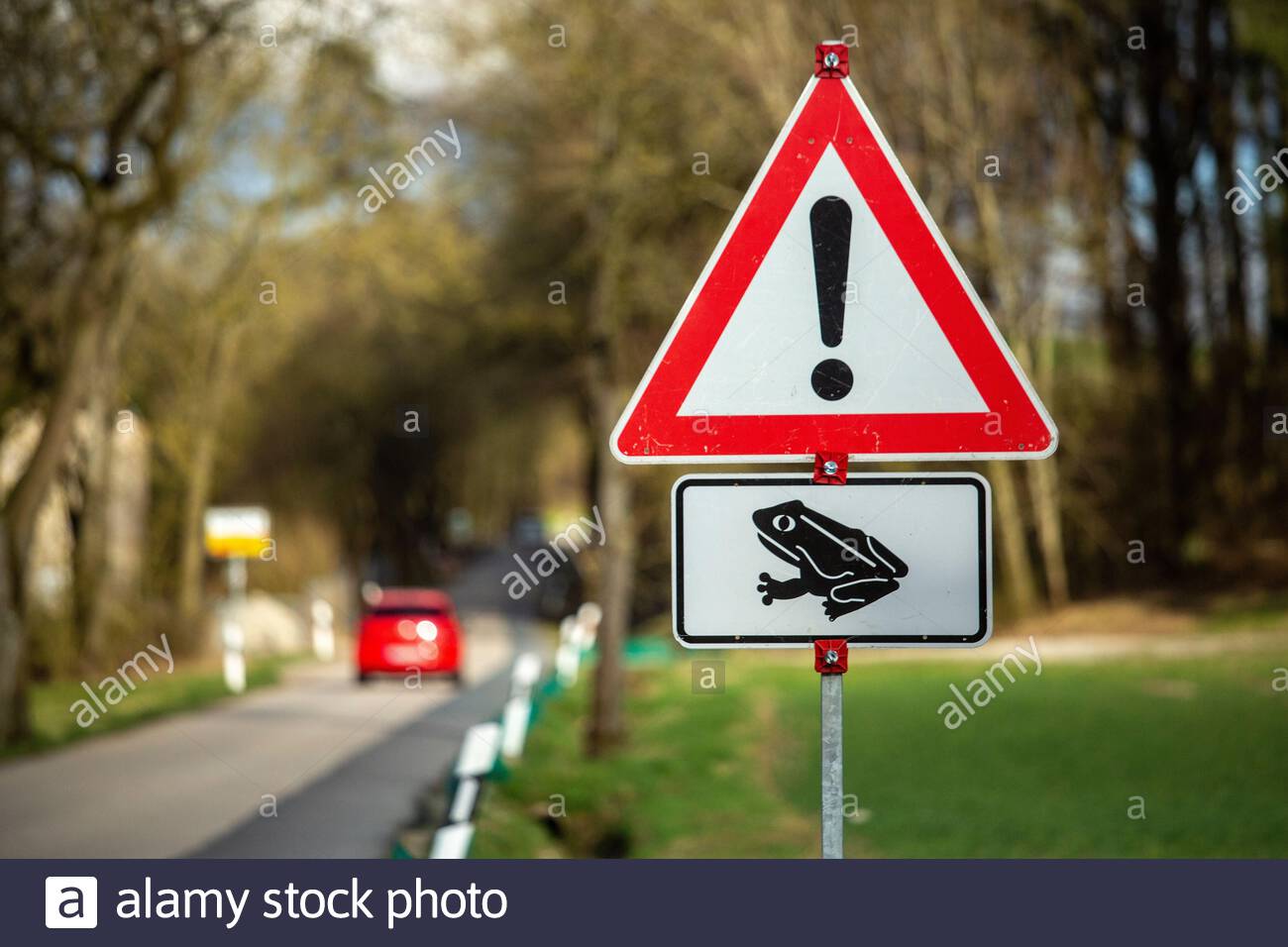 Un segnale di avvertimento rosso per i piloti su una strada di campagna in Germania quando le rane entrano nella stagione di accoppiamento. Rane comuni sveglio dall'ibernazione in primavera. Foto Stock