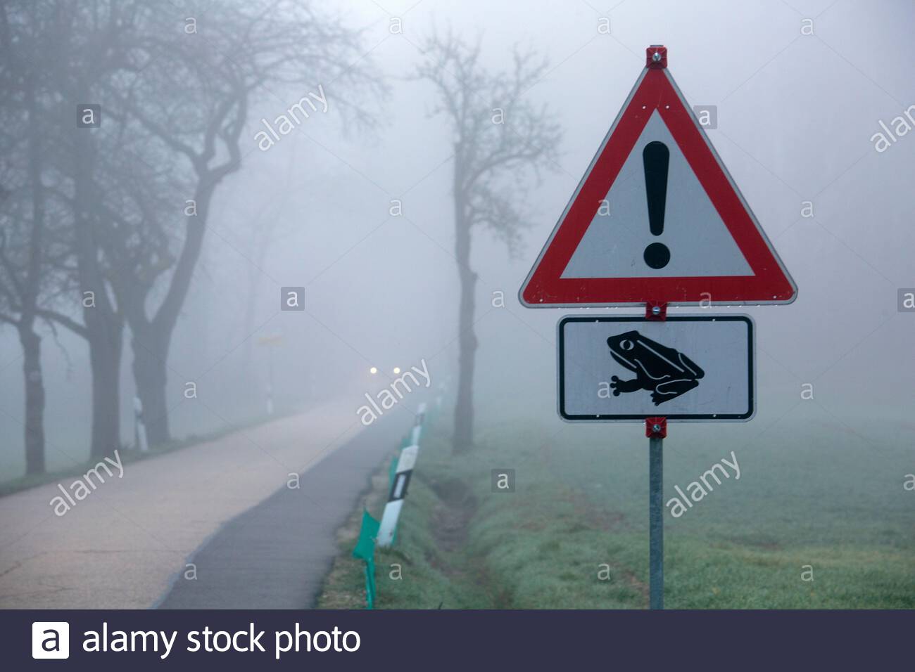 Un segnale di avvertimento rosso per i piloti su una strada di campagna in Germania quando le rane entrano nella stagione di accoppiamento. Rane comuni sveglio dall'ibernazione in primavera. Foto Stock