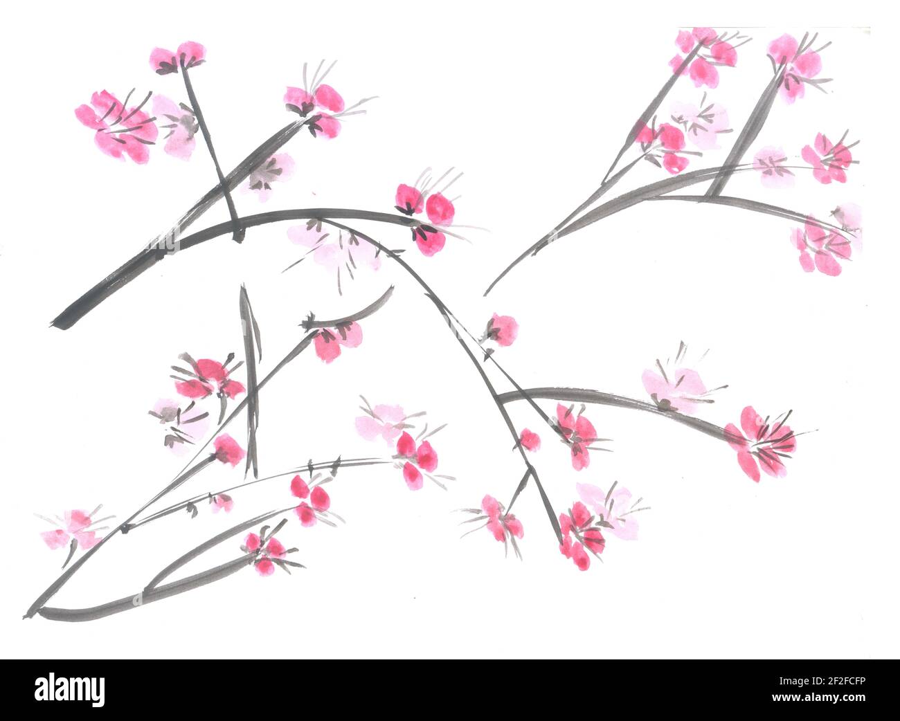 Pittura Cinese tradizionale. Fiori di ciliegio sul ramo di albero Foto  stock - Alamy
