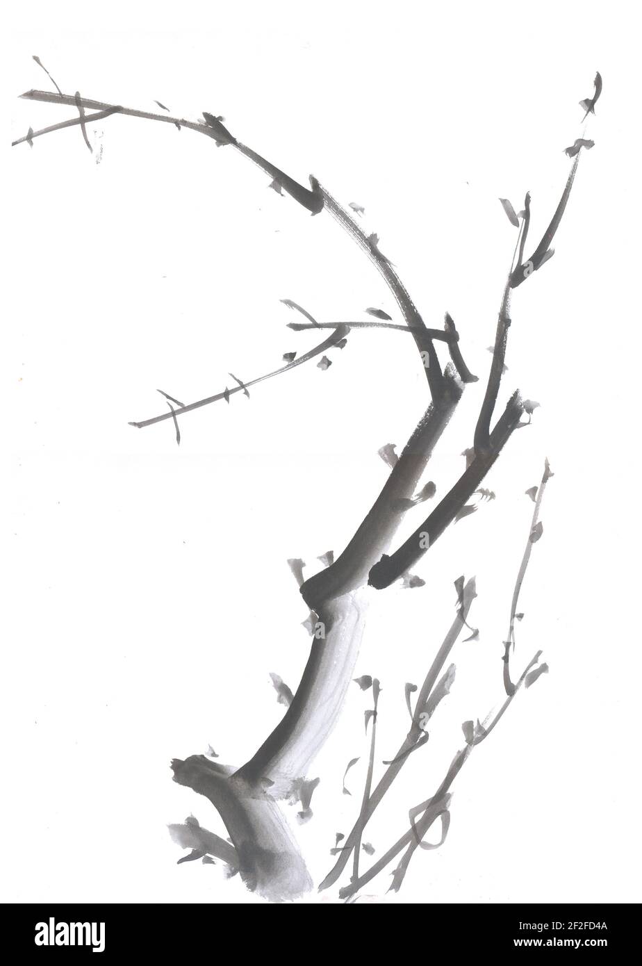 Pittura Cinese tradizionale. Fiori di ciliegio sul ramo di albero. Foto Stock