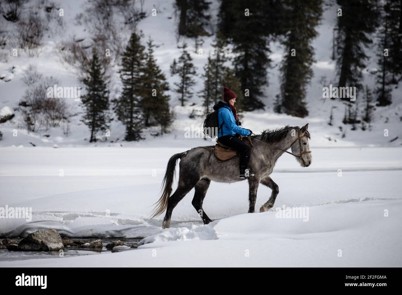 Escursione a cavallo invernale nella Valle Karakol del Kirghizistan Foto Stock