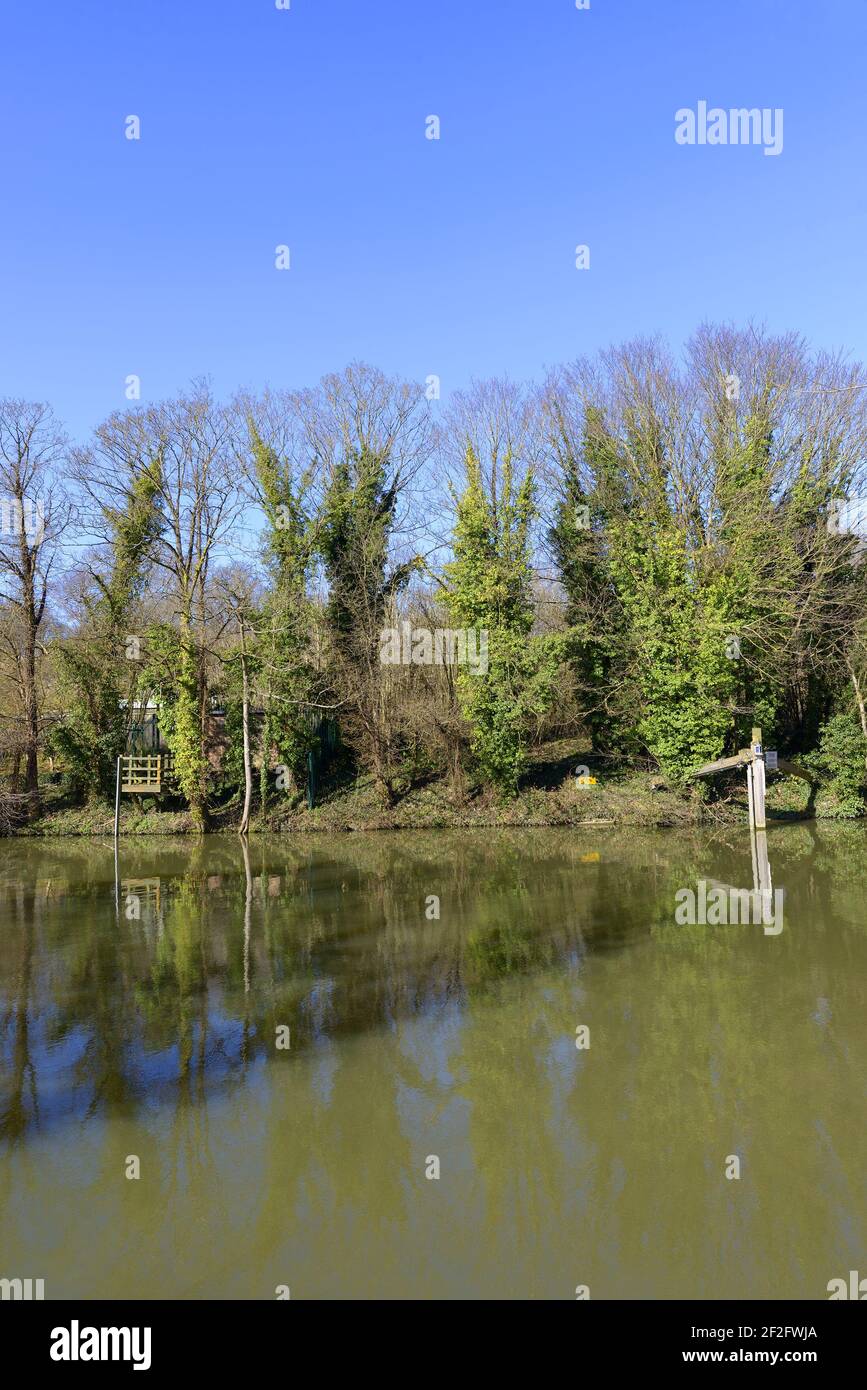 Fiume, alberi e cielo blu (ad Allington, Maidstone, Kent, UK.) Foto Stock