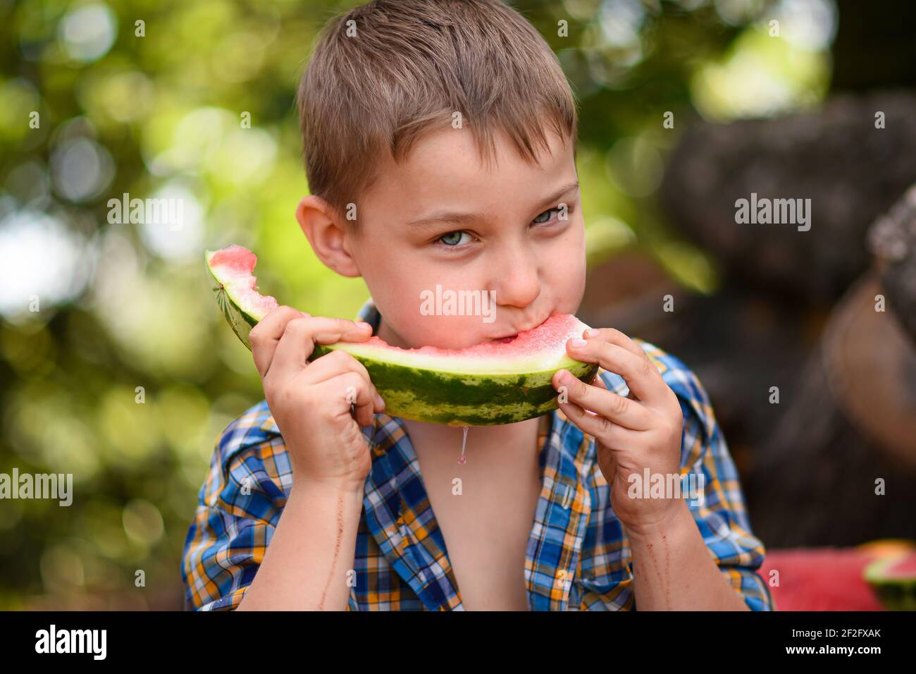 Un ragazzo mangia un anguria. Primo piano verticale. Foto Stock