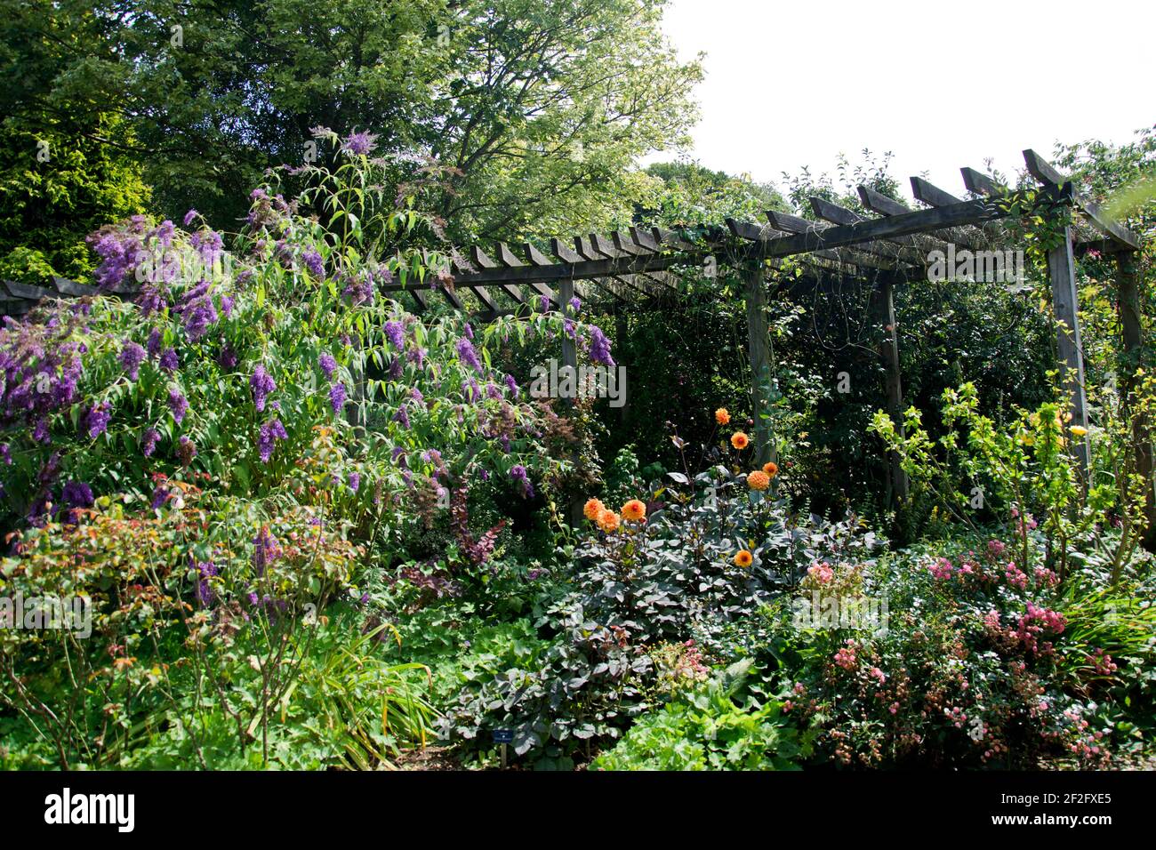 Pergolato giardino decorativo Foto Stock