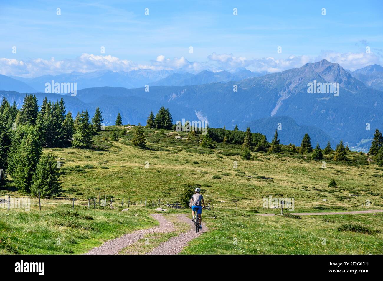 Italia, Trentino-Südtirol / Alto Adige, Alto Adige, Alpi Sarntal, Tschoegglberg, altopiano, Vöran, Vöraner Alm, mountain bike Foto Stock
