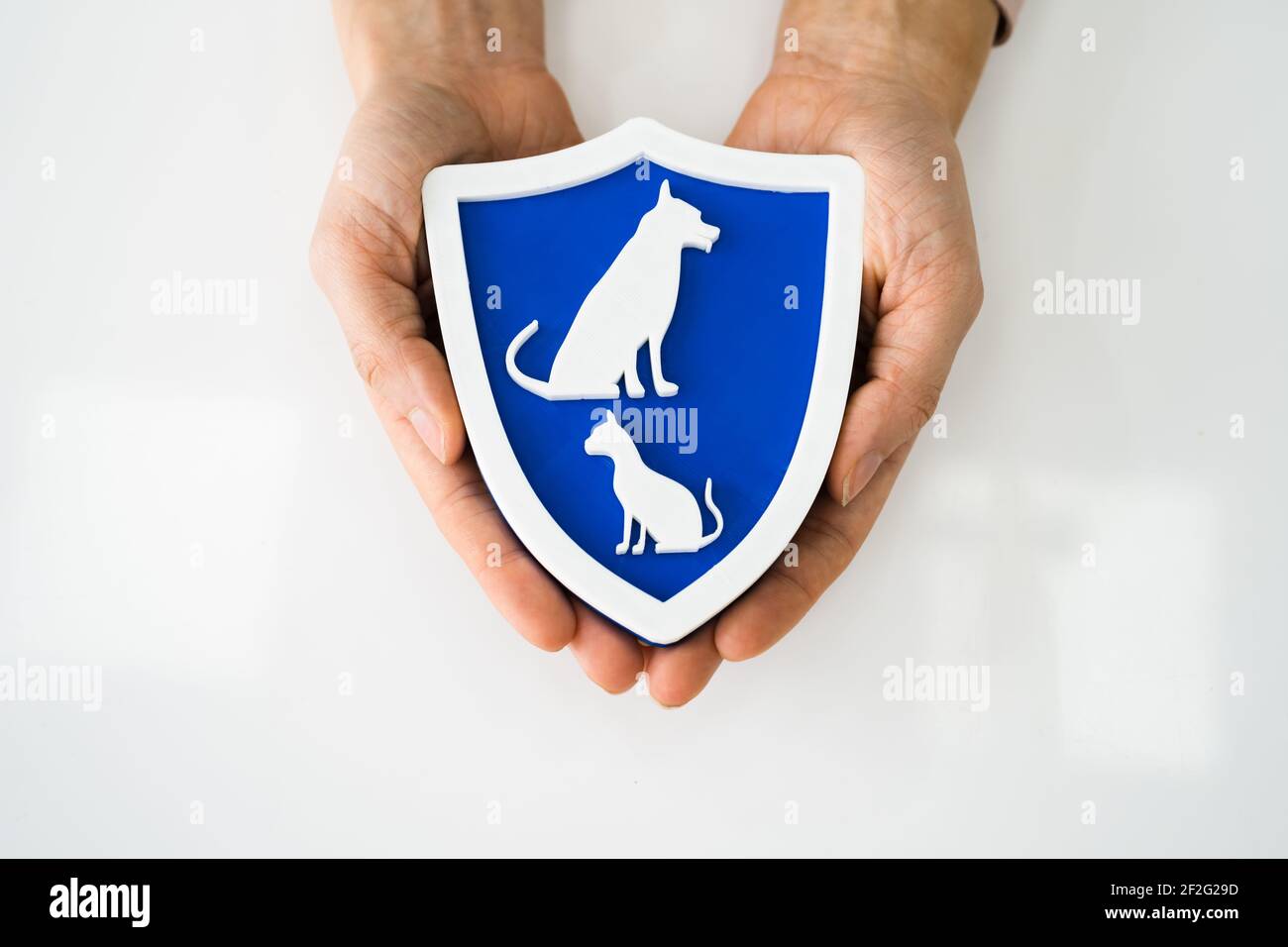 Responsabilità per cani e gatti e copertura sanitaria Foto Stock