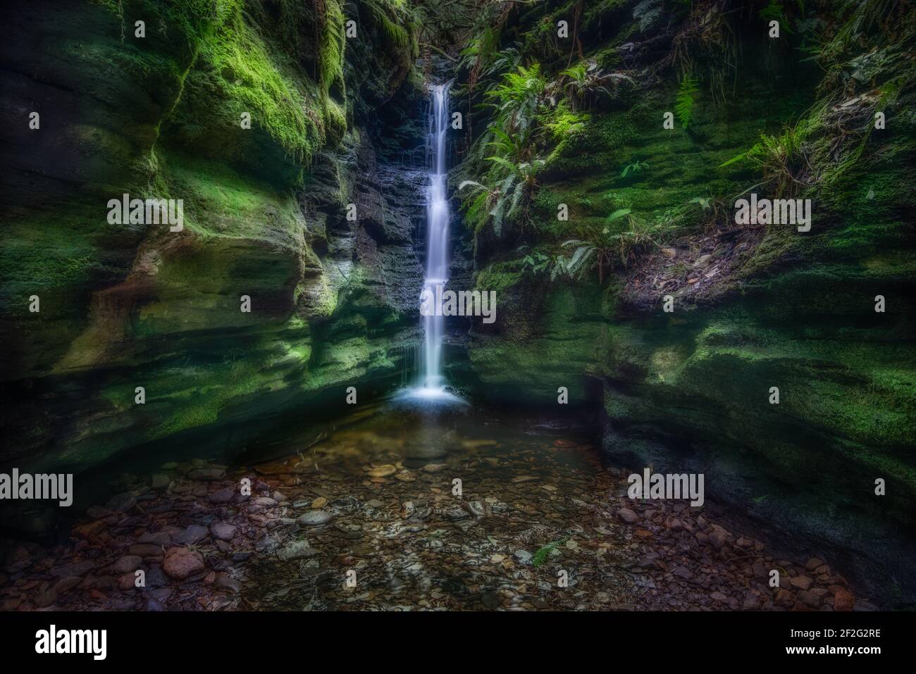 Tasmania's Secret Falls nel Mount Wellington Park Foto Stock