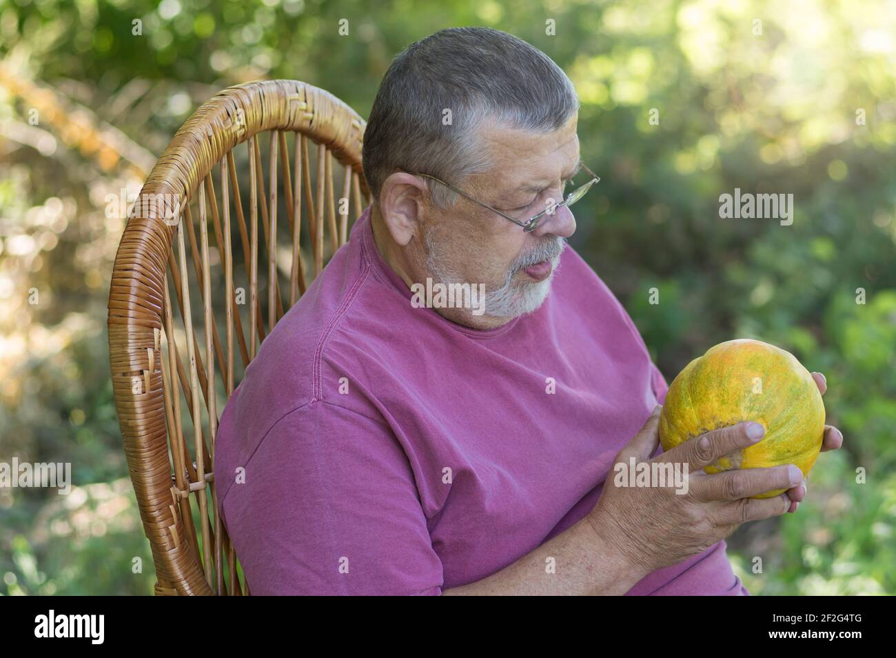 Ritratto all'aperto di allevatore caucasico in tenera posizione in vimini sedia e guardare sul melone maturo in mani Foto Stock