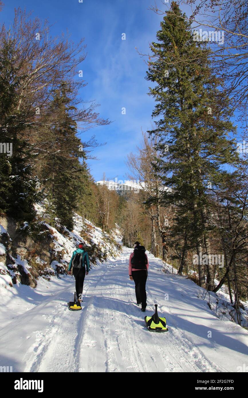 Slittando sulla Lausberg sulla strada per l'Alm Vereiner, 2 giovani donne tirano le loro calette sulla pista. Foto Stock