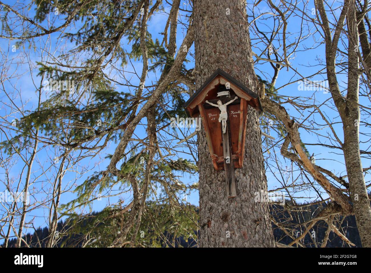 Escursione invernale nei pressi di Mittenwald, vicino a Krün, Vereiner Alm, Europa, Germania, Baviera, alta Baviera, Werdenfels, inverno, croce commemorativa, Cristo, albero Foto Stock