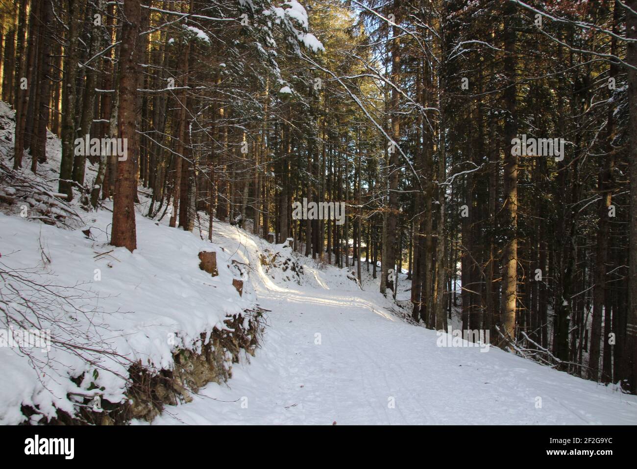 Escursione invernale nei pressi di Mittenwald, vicino a Elmau, Klais, Europa, Germania, Baviera, alta Baviera, Werdenfels, inverno, sentiero escursionistico nella foresta innevata, raggi del sole Foto Stock