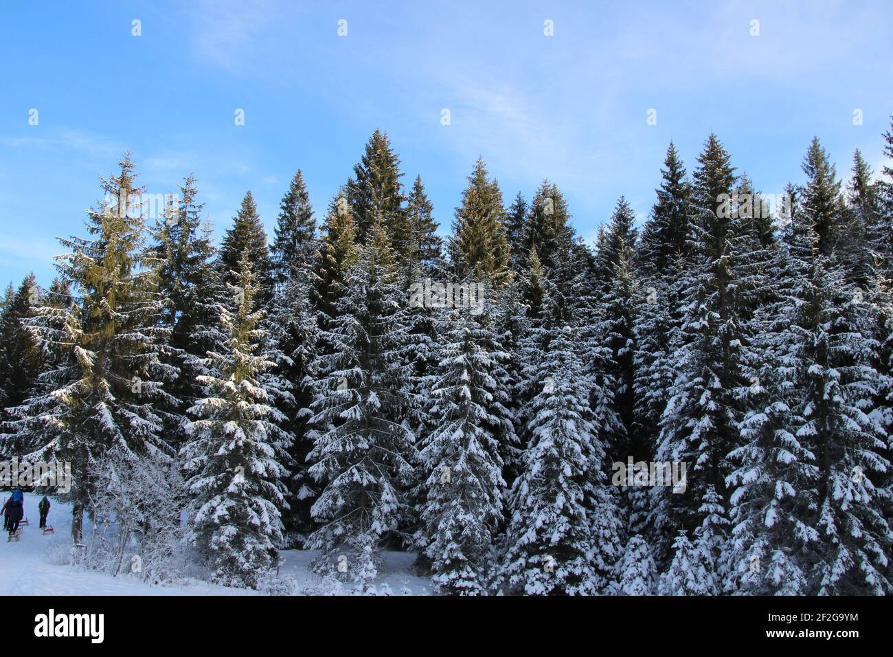 Escursione invernale nei pressi di Mittenwald, vicino a Elmau, Klais, Europa, Germania, Baviera, alta Baviera, Werdenfels, inverno, Foto Stock