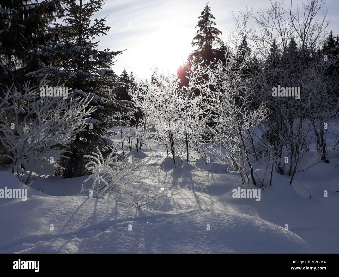 Escursione invernale nei pressi di Mittenwald, vicino a Elmau, Klais, Europa, Germania, Baviera, alta Baviera, Werdenfels, inverno, escursione invernale Foto Stock