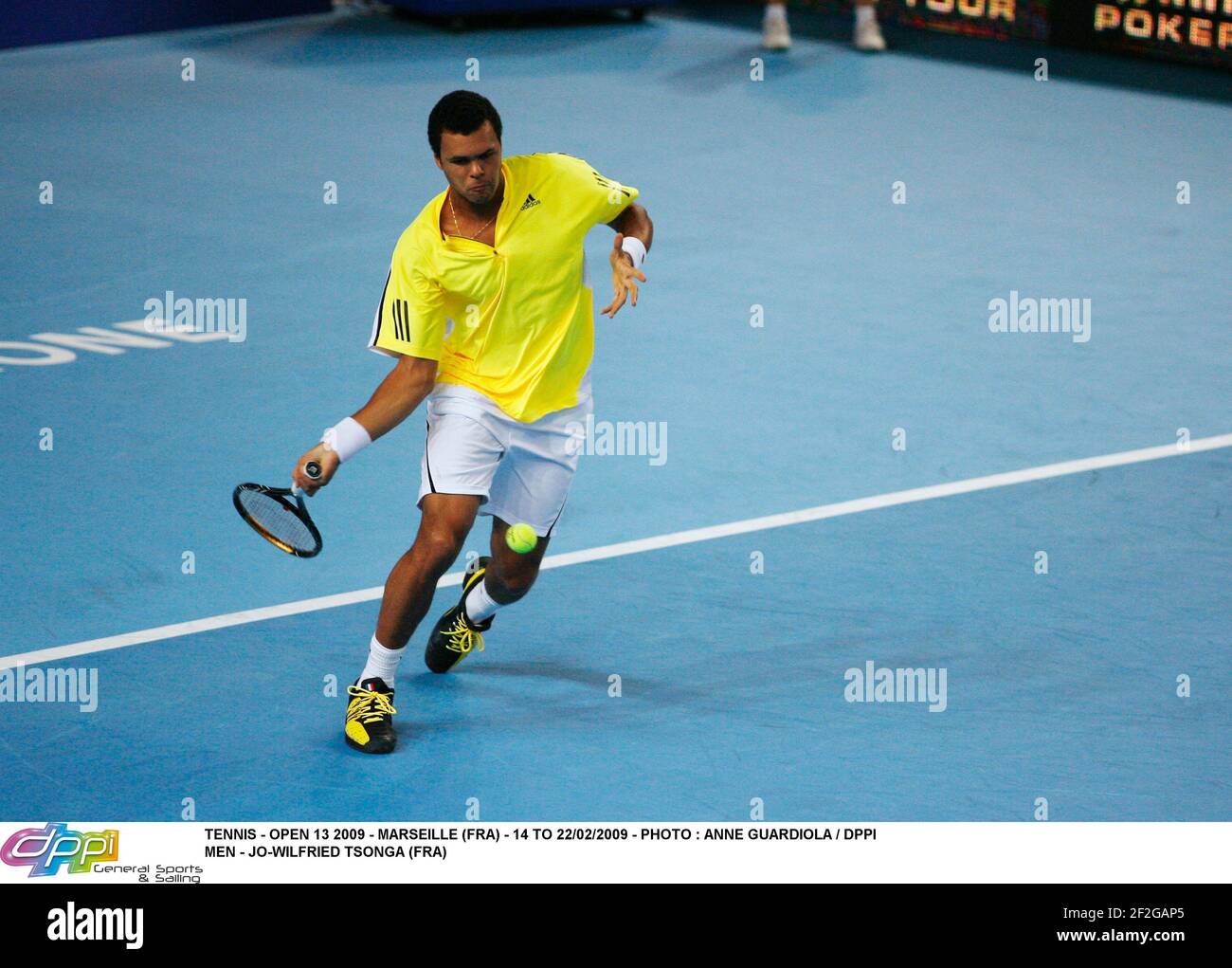 TENNIS - APERTO 13 2009 - MARSIGLIA (FRA) - DAL 14 AL 22/02/2009 - FOTO : ANNA GUARDIOLA / DPPI UOMINI - JO-WILFRIED TSONGA (FRA) Foto Stock