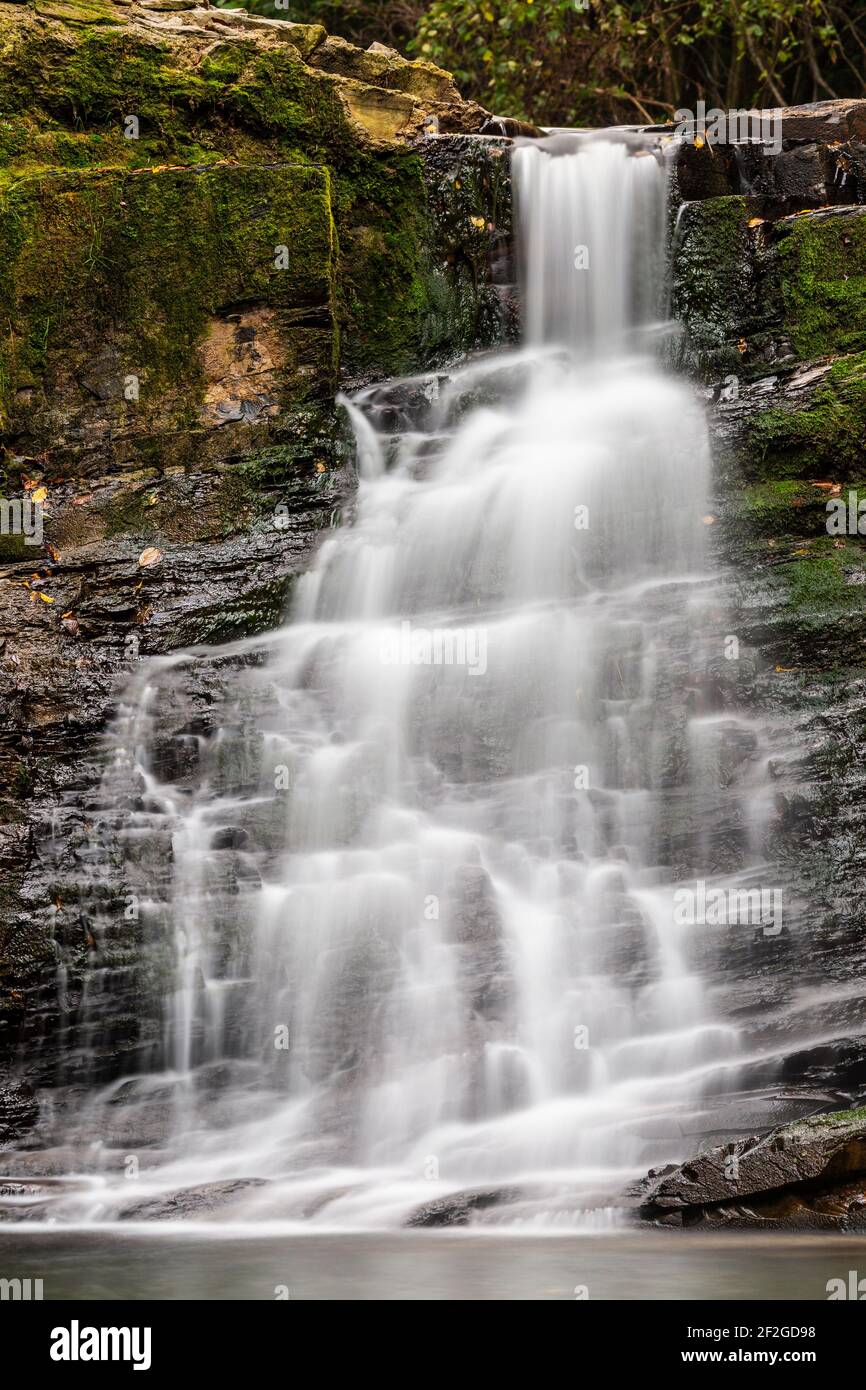 Europa, Polonia, Podkarpackie Voivodato, Beskid Niski - cascata nel villaggio di Iwla nel distretto amministrativo di Dukla Foto Stock