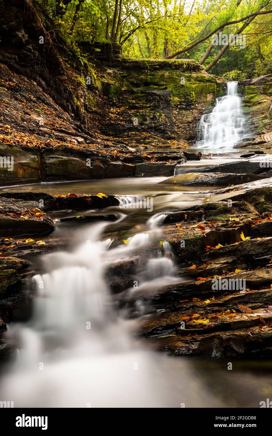 Europa, Polonia, Podkarpackie Voivodato, Beskid Niski - cascata nel villaggio di Iwla nel distretto amministrativo di Dukla Foto Stock