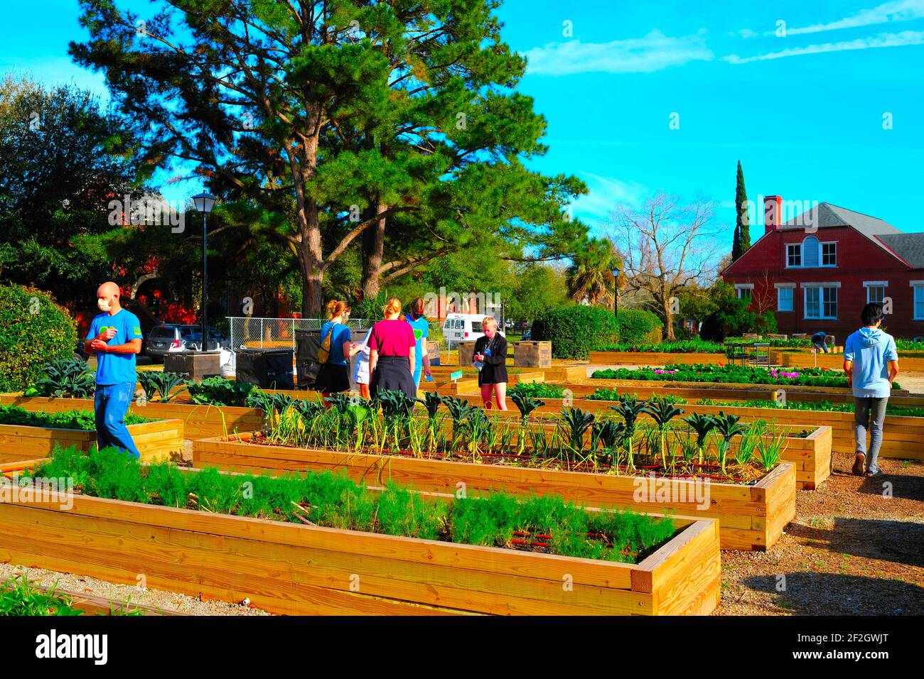 Green Heart Urban Garden presso il Villaggio Inglese modello di Enston Homes Di William Enston che era un bussinessman da Kent in 1850 Foto Stock